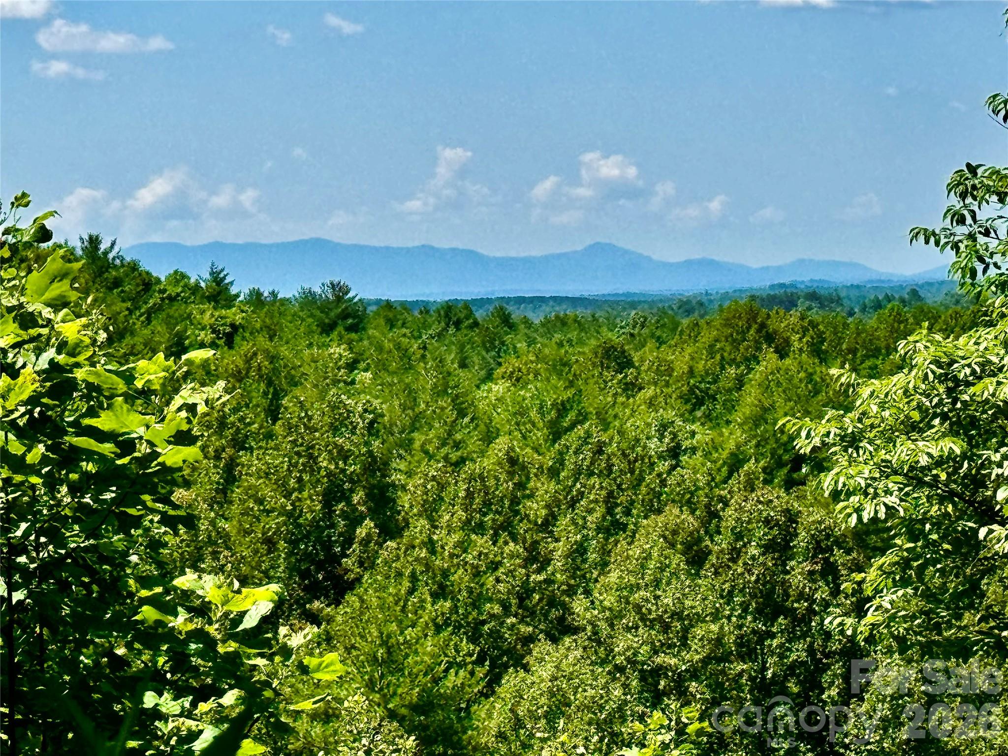 Located at The Coves Mountain River Club, Lot 528 is a private 10 acre home site with beautiful views of the South Mountains.  Scenic Vista Trail is a secluded culdesac of four home sites, from 10-40+ acres each.  Enjoy privacy and solitude among mature hardwoods, dog wood, mountain laurel, and evergreen trees.  This home site is great for a walk out basement. No square footage requirements.  Electric and fiber optic cable for internet and TV are already buried at the street.  Builder and lender info available.   Expand your living space into nature with screened porches, decks, stargazing platforms or a hardscape fire ring for total immersion in your new outdoor lifestyle.  Pick your plan and build your dream!  If you aren't quite ready to build...no worries.  There is not a requirement to build and you can take your time planning and enjoying the community.
 
The Coves is a 3,200 acre gated community in the Blue Ridge Mountains of North Carolina. There are miles of community exclusive trails to hike, bike, ride horses, or UTVs, and 5 miles of frontage on the Johns River, with spots to put in and take out your kayak access points, wade or fish, picnic, or gather round a stone fire pit. The crown jewel of The Coves is the magnificent post and beam constructed clubhouse, Pisgah Lodge, located on one of the highest peaks. There, you'll enjoy a saline pool, fitness center, locker rooms, full kitchen, lending library, pool table, fire pits, wrap around porches, decks, and overlooks to take in 360º views of the Blue Ridge Mountains, South Mountains, and Brushy Mountains. The Coves is a Firewise USA® Community, a program of the National Fire Protection Association, that helps neighbors organize to reduce wildfire risk, harden homes, and create defensible space by managing vegetation and preparing for wildfires. Down by the river you can garden your private plot at the Community Garden or join your neighbors to care for and harvest the community cooperative vineyard. Pickle-ball and shuffleboard courts, putting green, and a picnic pavilion are located at another Coves's park, Wyatt's Landing. Additional amenities include 2 Equestrian Centers and a Dog Park. Join your neighbors for social events, excursions, hiking, travel, yoga. There are over 30 clubs to join.  500,000 acre Pisgah National Forest and the Wilson Creek Wild and Scenic River Area are across the road! 1.25 hour drive to Charlotte or Asheville, minutes to Lenoir, Blowing Rock, Morganton, and the Blue Ridge Parkway.
