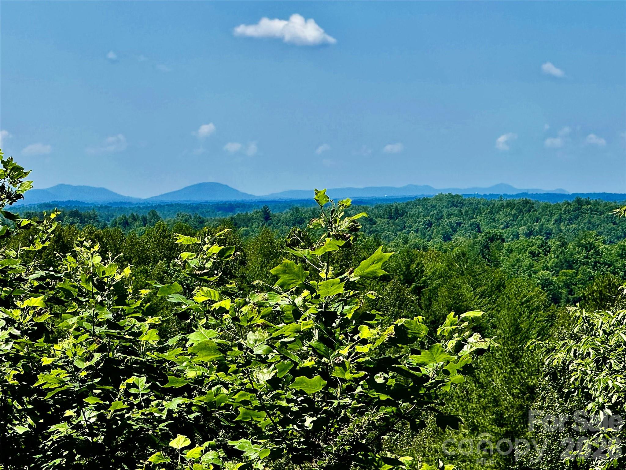 The Coves Mountain River Club - Land