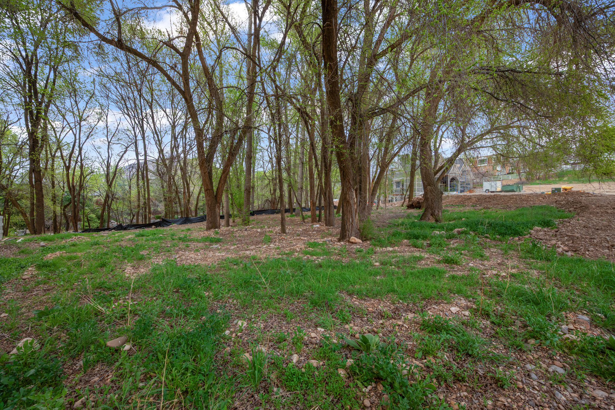 CREEKSIDE LANE - Land