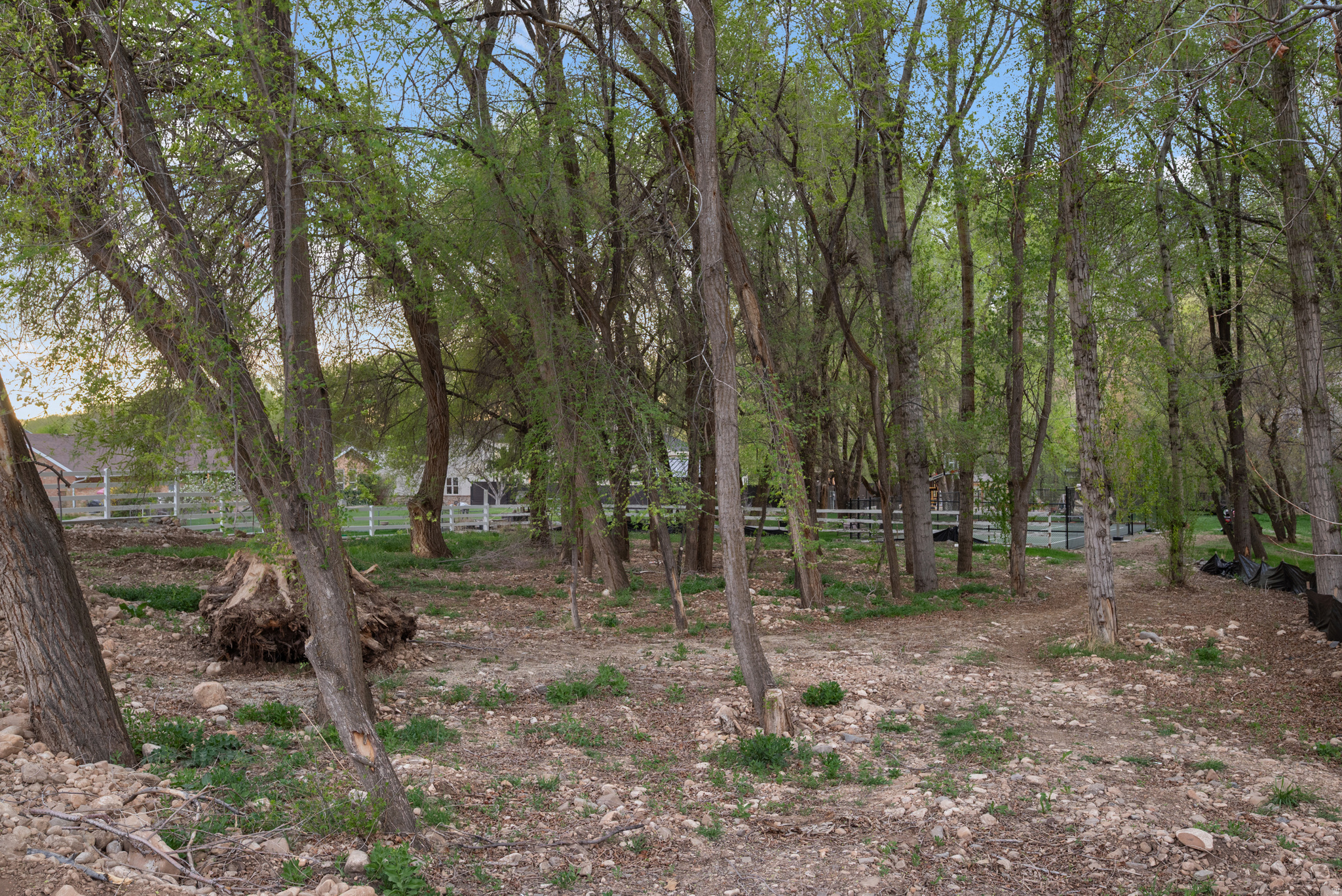 CREEKSIDE LANE - Land
