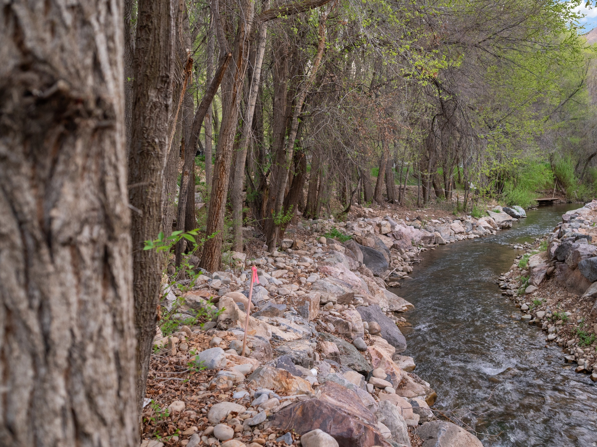 CREEKSIDE LANE - Land