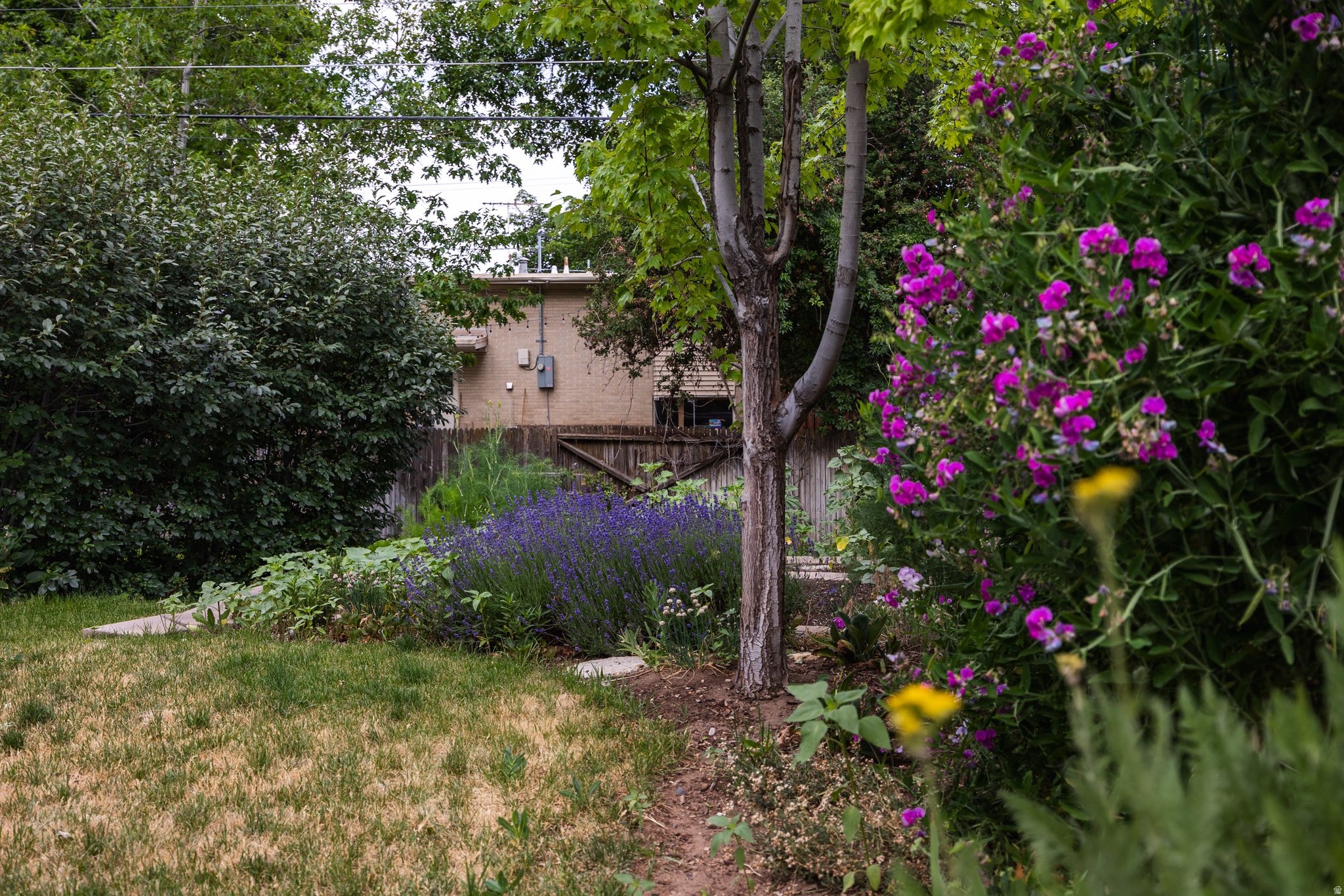 CHERRY HILLS - Residential