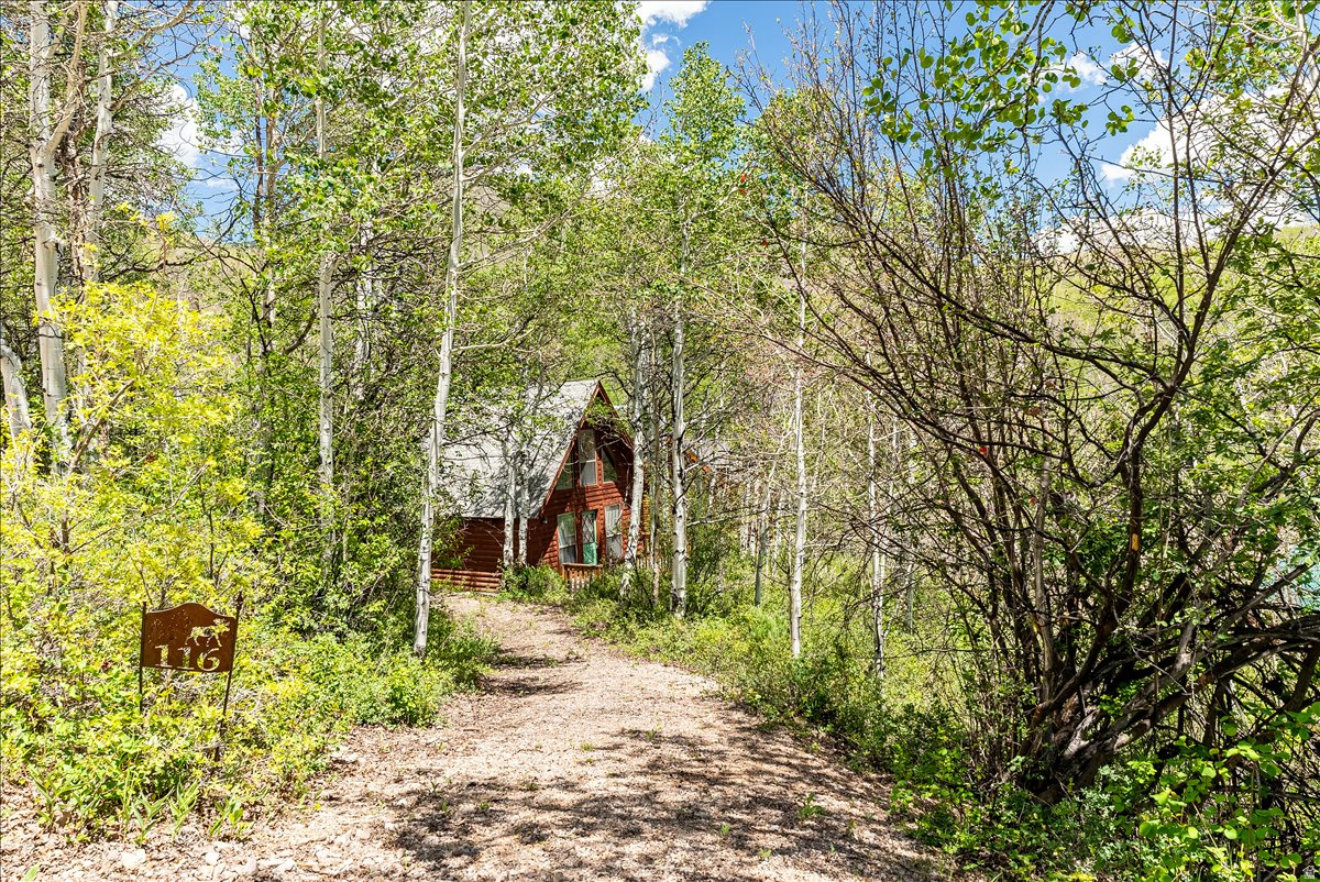 Escape the city and summer heat and discover your mountain retreat in Weber Canyon's Aspen Mountain subdivision. Nestled among mature aspens on a .45-acre lot, this ready to go cabin offers the perfect blend of comfort, recreation, and serenity.  The main level features a cozy living area, kitchen, bedroom, and  bath, with a spacious loft with 2 beds providing additional sleeping space for family and guests. Enjoy morning coffee on the front deck or unwind in a hammock beneath the trees surrounded by nature's beauty.  This all-electric cabin is being sold As-Is and comes fully furnished, including all furniture and contents currently at the property, making it ready for immediate enjoyment.  Outdoor enthusiasts will appreciate the exclusive private access to Blue-Ribbon fishing on the Weber River from within the subdivision, along with close proximity to Smith & Morehouse Reservoir, hiking and ATV trails, camping, skiing, boating, fishing, snowmobiling, and countless recreational opportunities within the Uinta Mountains and National Forest.  Whether you're seeking a weekend getaway, summer escape, or year-round basecamp for adventure, this mountain retreat offers the privacy, convenience, and outdoor lifestyle you've been searching for.