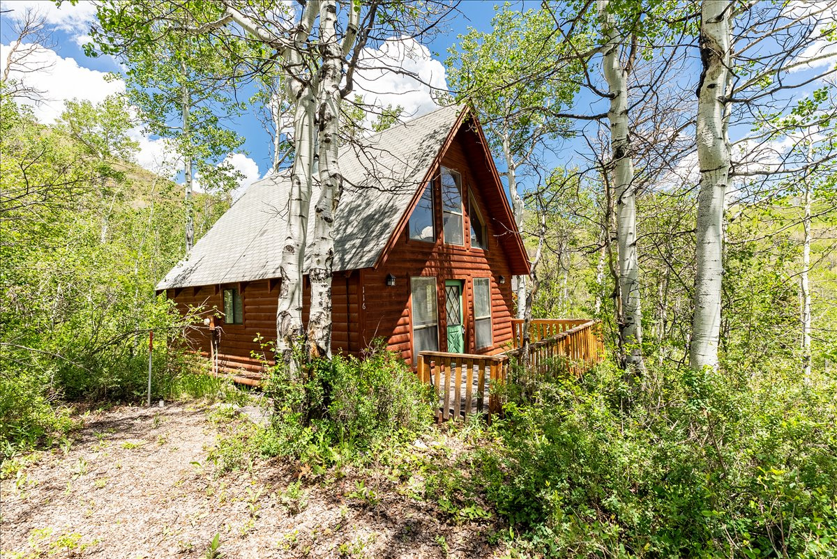 ASPEN MOUNTAIN - Residential