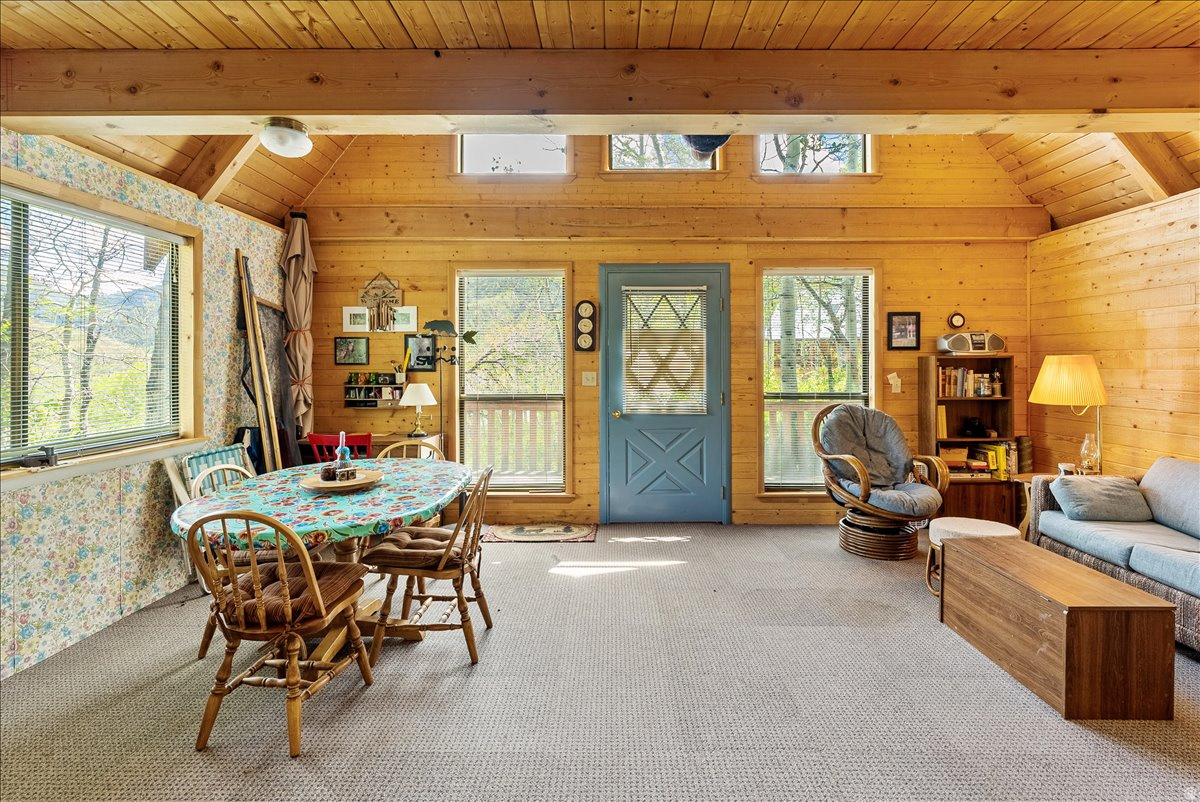 ASPEN MOUNTAIN - Residential
