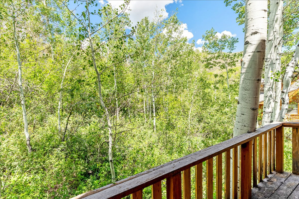 ASPEN MOUNTAIN - Residential