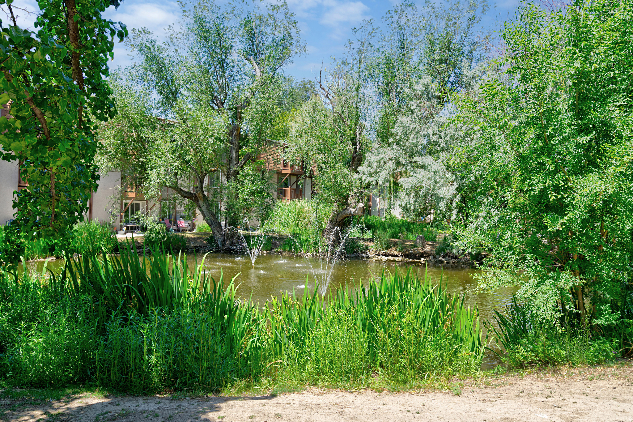 THE WILLOWS - Residential