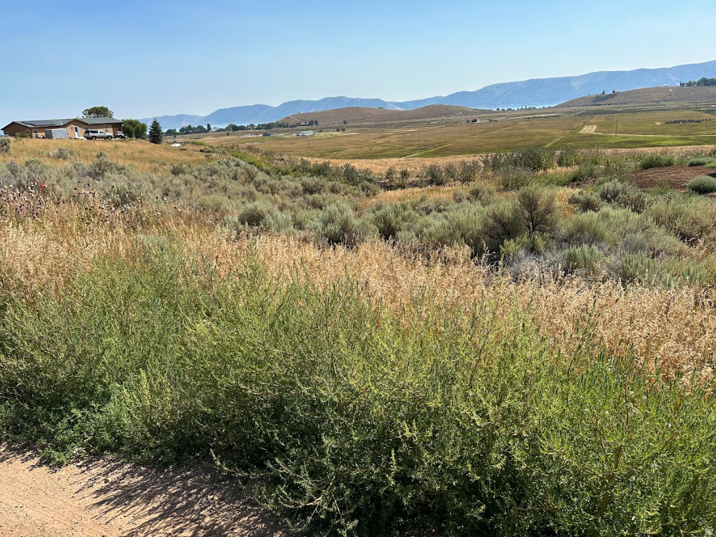 GOLF COURSE SUB - Land