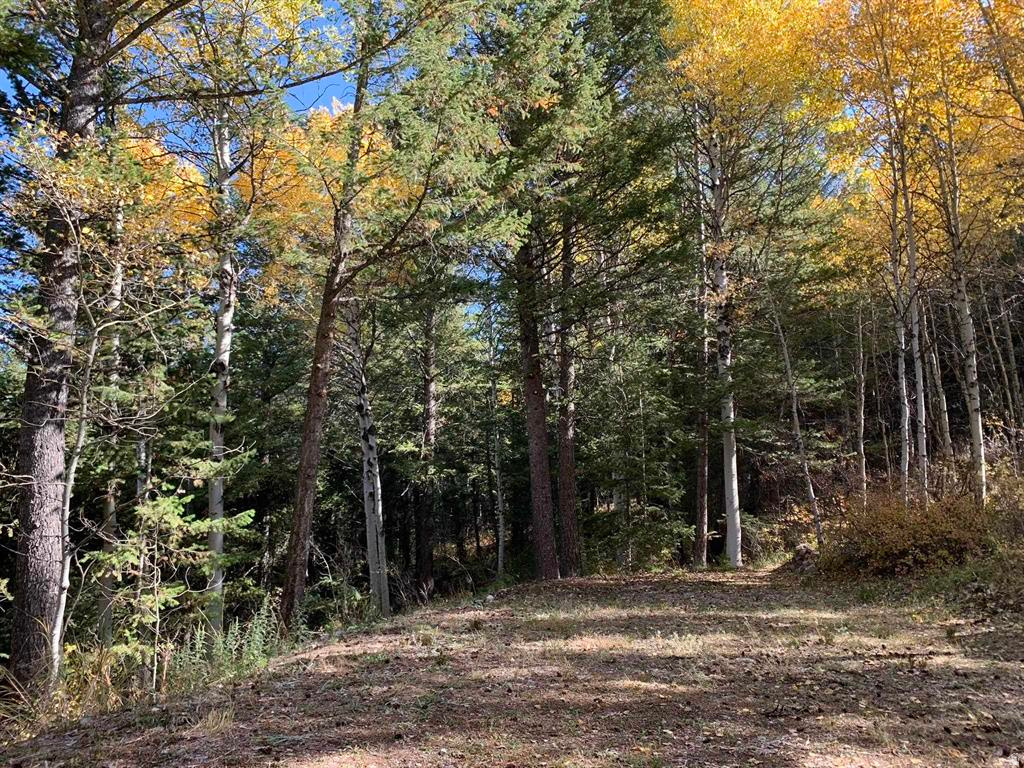 This is the Lava Ranch lot buyers have been waiting for - one of the very few in the subdivision with a private well already in place. No hauling water, no waiting on a community station. Your own pump and pressure tank sit ready in the well house beneath the storage shed, delivering reliable water the moment you arrive. Pair that with an installed septic system, a ready-to-use RV pad, a backup gas generator, and a gated entry, and you have something genuinely rare: a fully equipped recreational parcel that works from day one. The lot itself sits at the end of a quiet cul-de-sac, surrounded by heavy timber that delivers the seclusion and mountain serenity you came here for. Power is in the process of being brought to the property - call for details. Lava Ranch amenities include a private fishing pond, maintained roads, and miles of ATV and snowmobile trails right from your door. Five minutes to the hot pools. Everything you need is already here - just add your adventure.