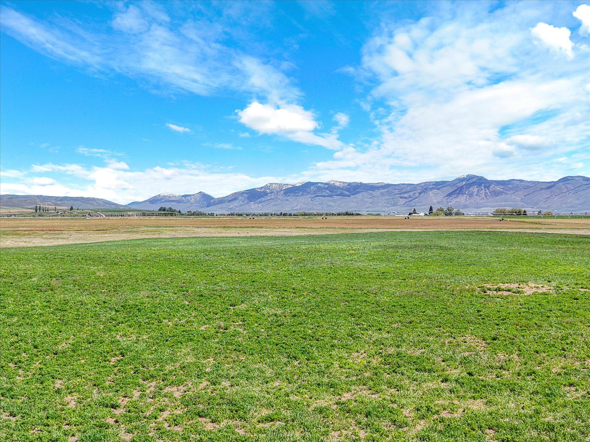 BAER ACRE FARMS SUB - Land