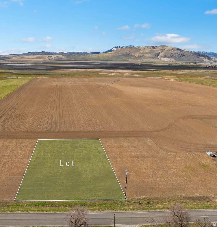 Buildable flat 1 acre lot in Amalga with feasibility completed.  Includes 1 full water share with water and power at the road.  Bring your own builder. No HOA.  Property is currently in Greenbelt. Enjoy open space, mountain views and peaceful Cache Valley living. Buyer to verify all information.