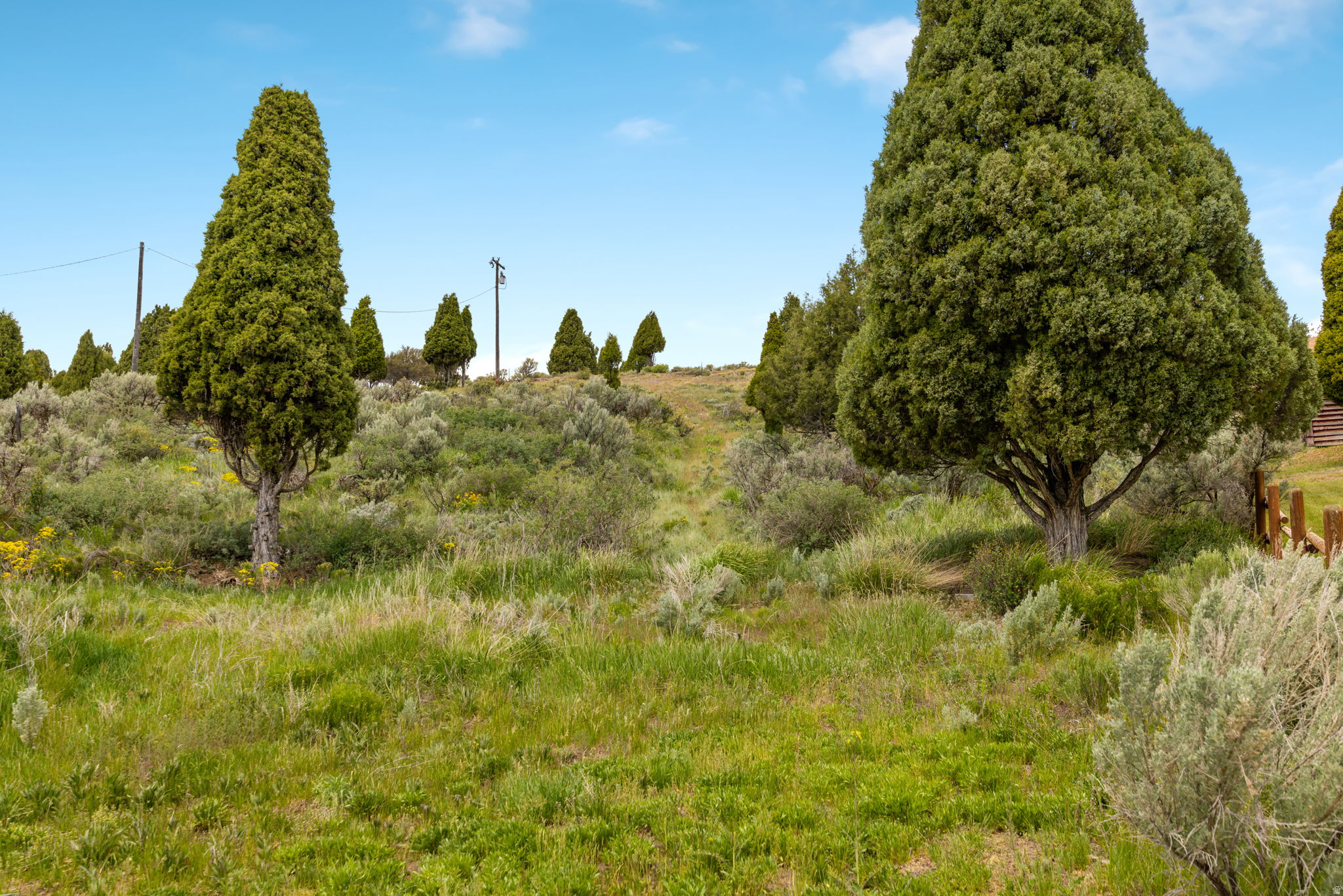 CEDAR VIEW - Land