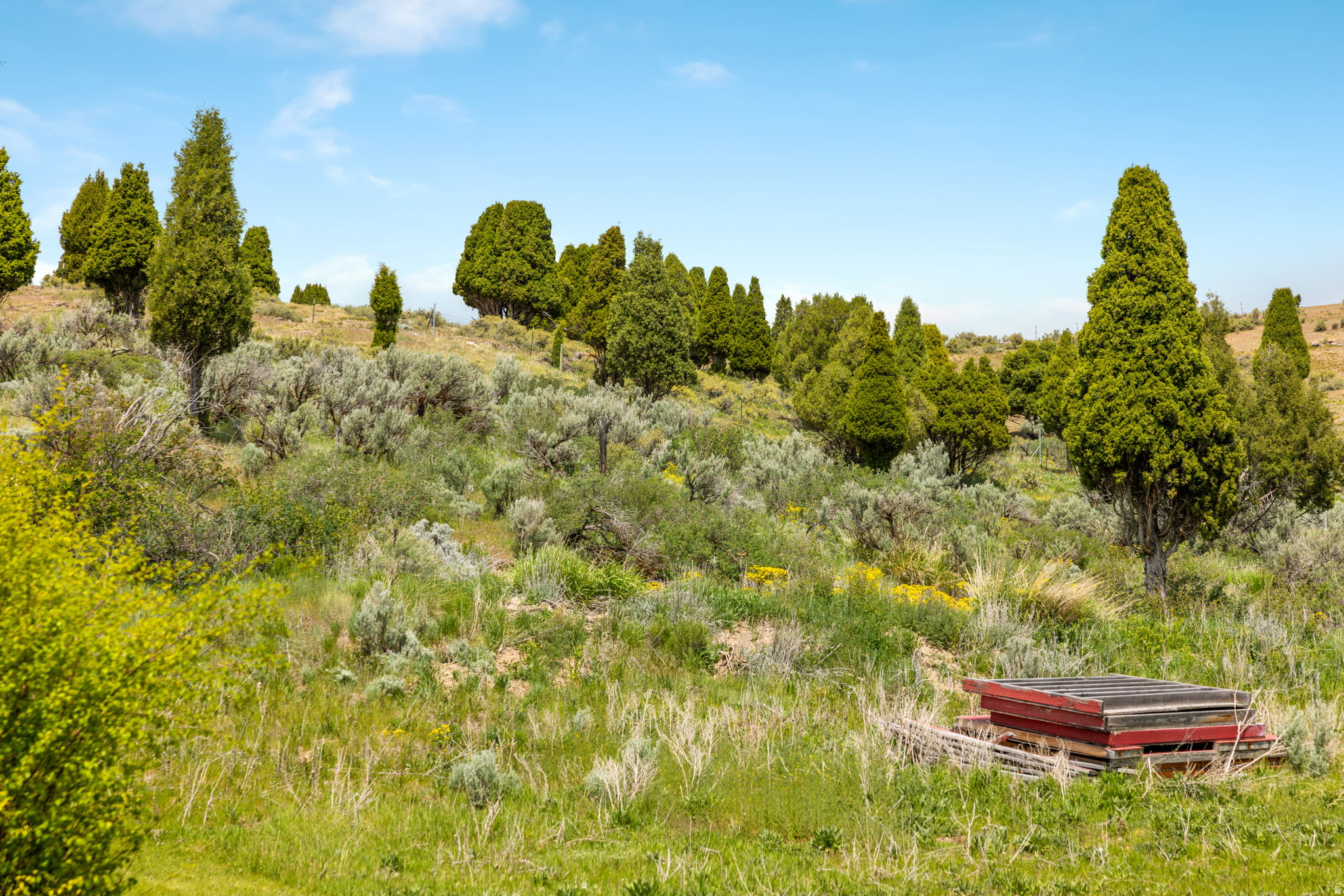 CEDAR VIEW - Land