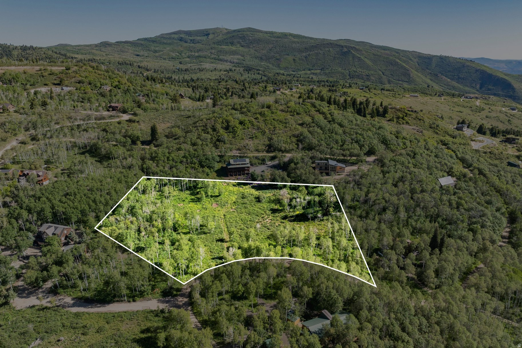 FOREST MEADOW SUBDIVISION - Land
