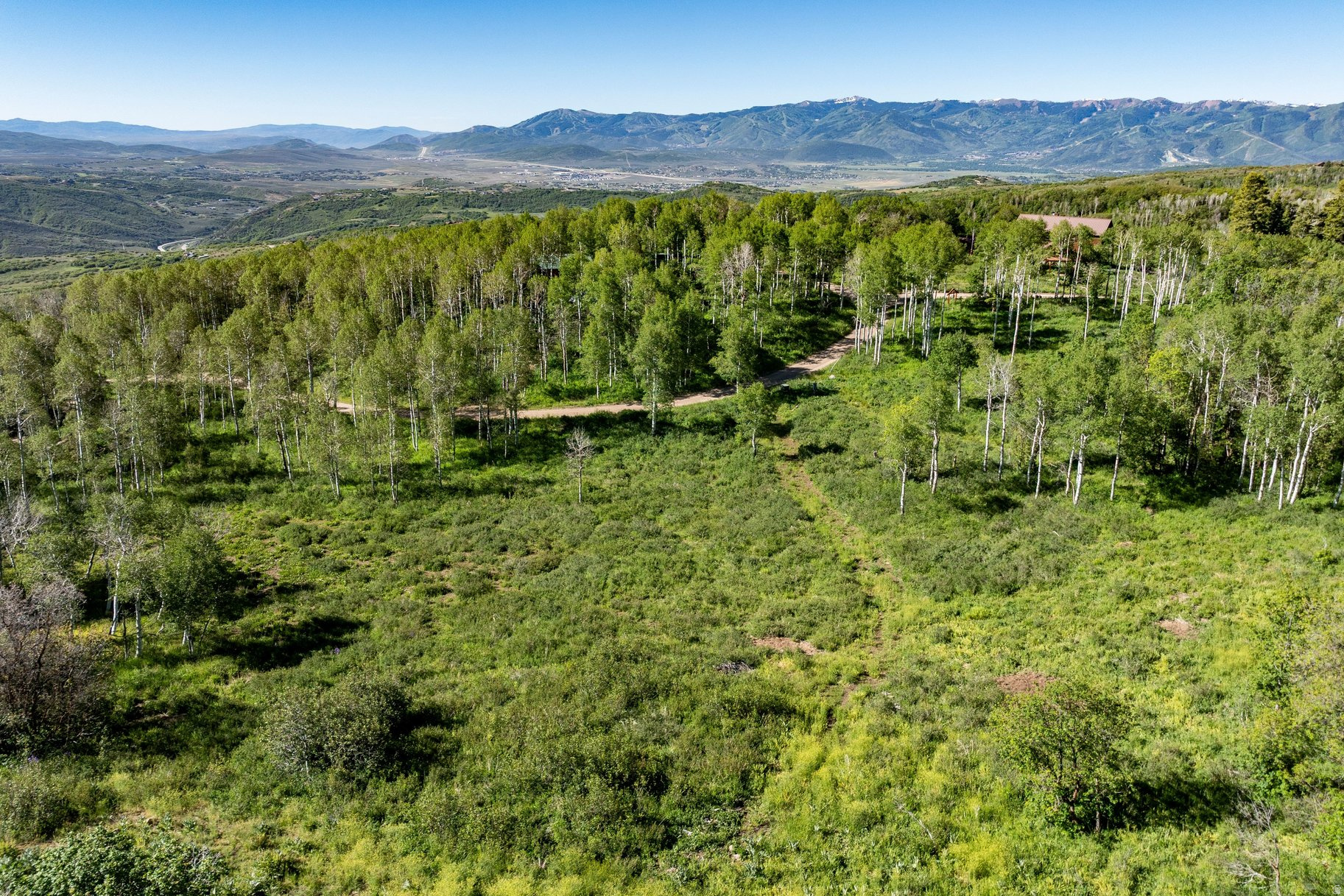 FOREST MEADOW SUBDIVISION - Land