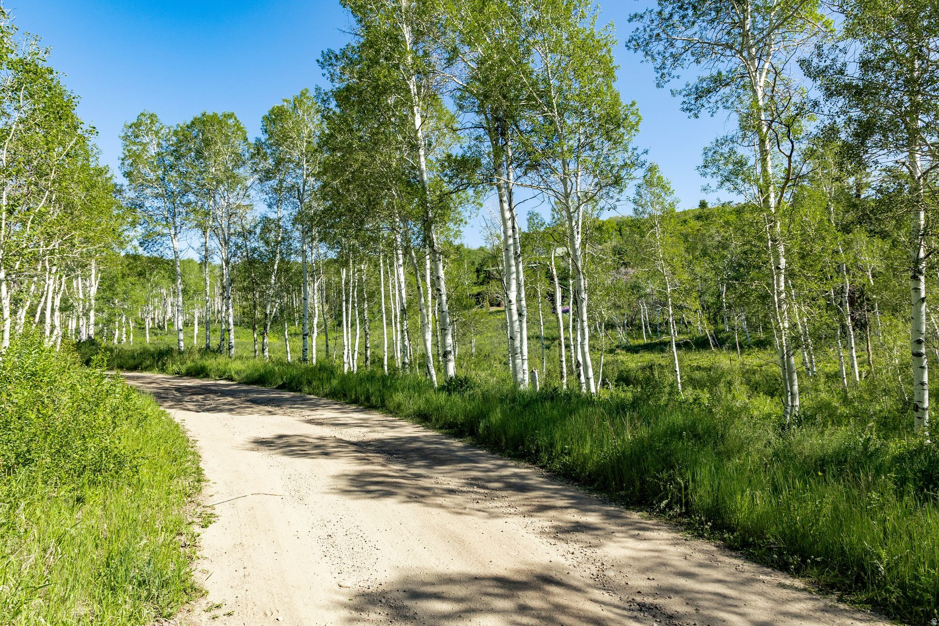FOREST MEADOW SUBDIVISION - Land