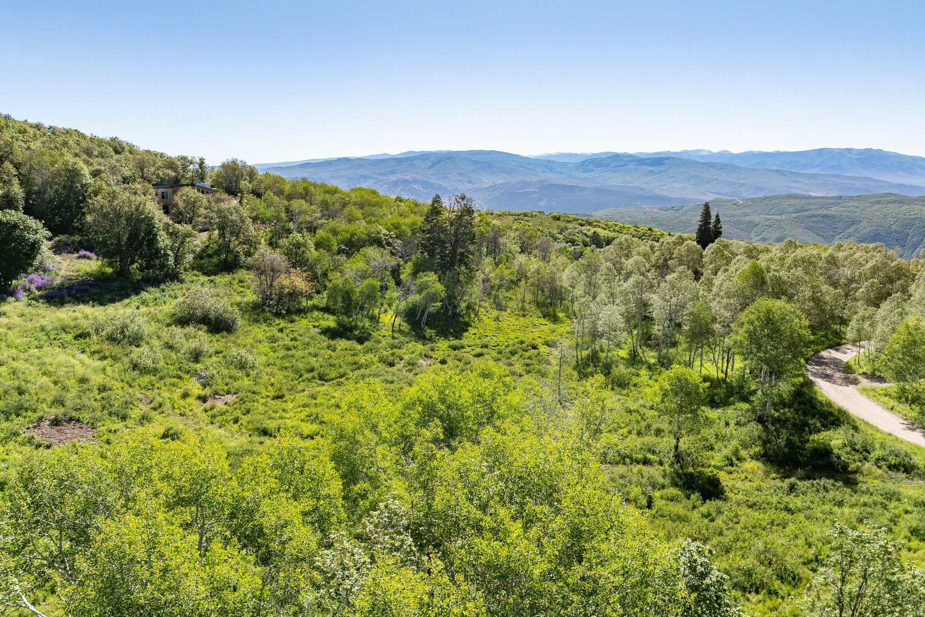 FOREST MEADOW SUBDIVISION - Land