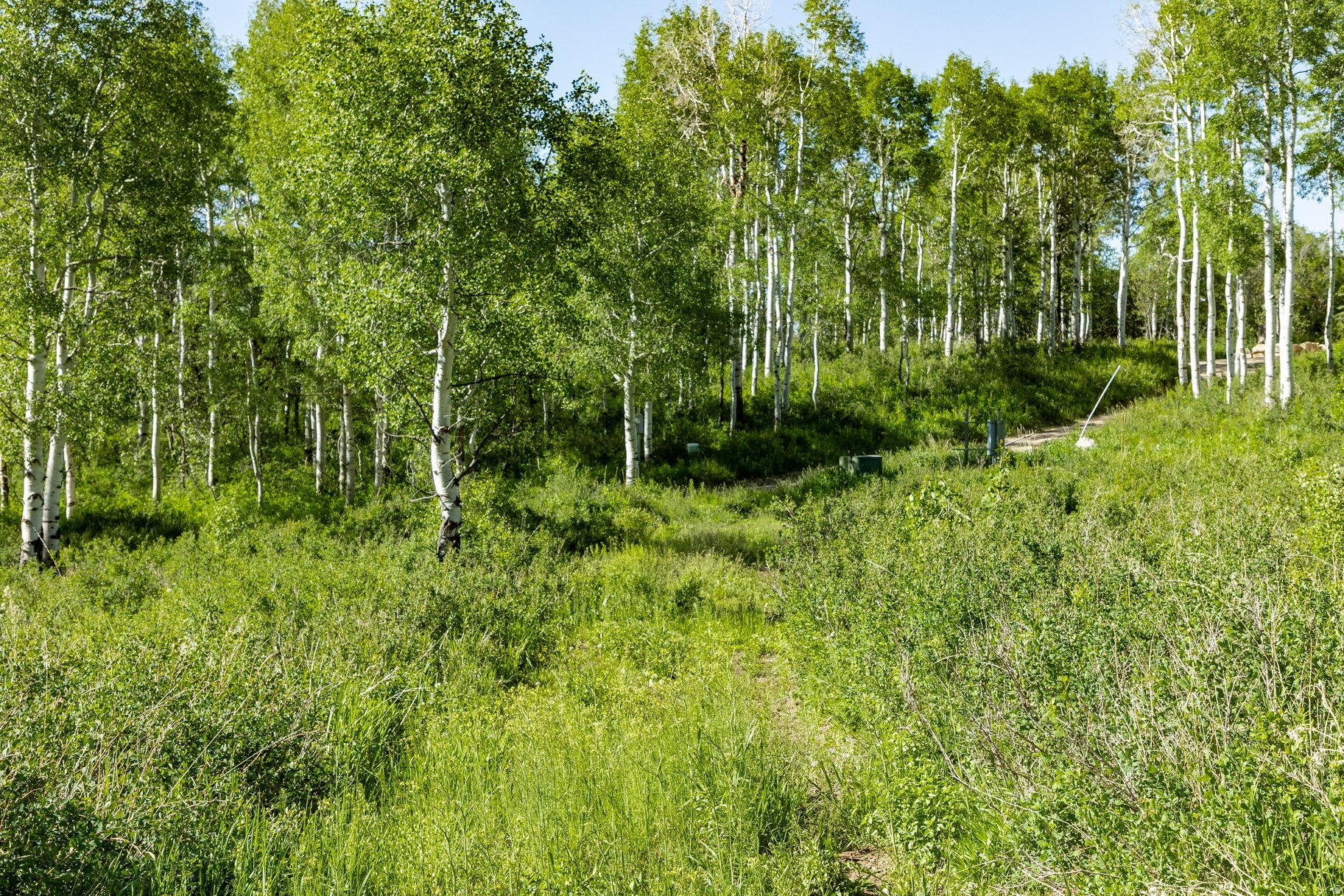 FOREST MEADOW SUBDIVISION - Land