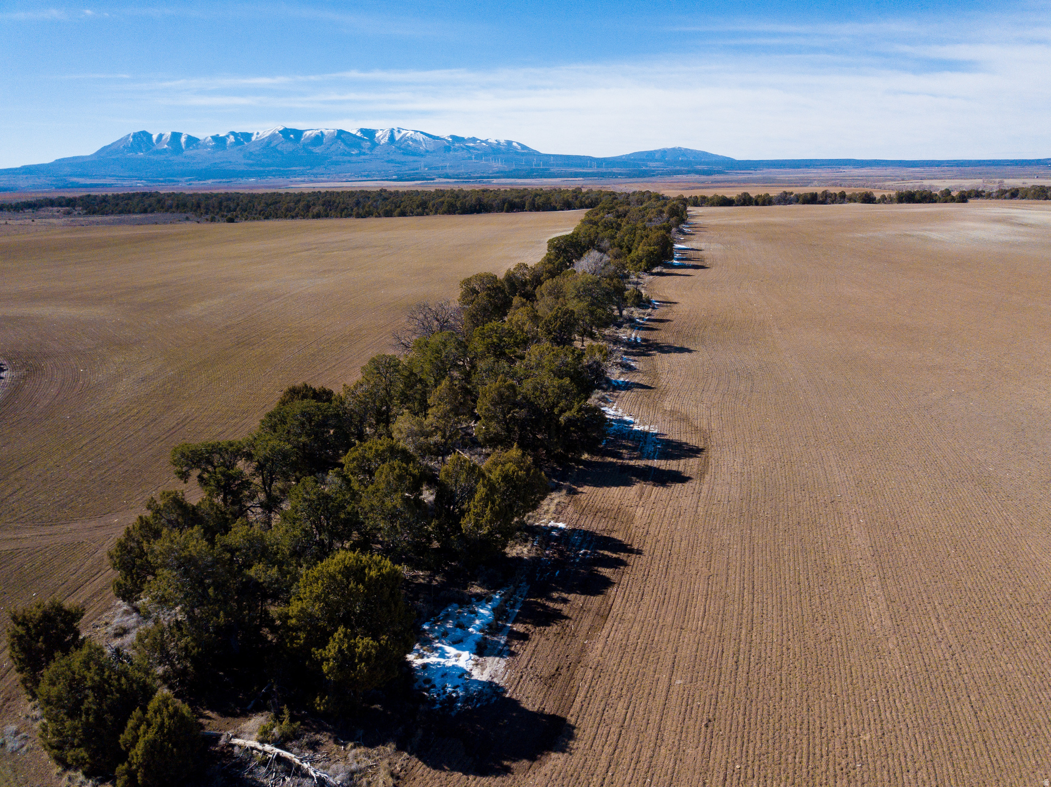 If you are looking for a land investment that balances crop share income with breathtaking natural beauty, this 274.38-acre property is an exceptional find. Comprised of multiple parcels-including 33S24E137800 and 33S25E185400-this expansive acreage features comparatively higher producing fields with a track record of success. The land is currently organically dry farmed in a winter wheat and safflower rotation with crop share income to the owner. Beyond its agricultural value, the property offers a stunning landscape with beautiful treed sections set against the majestic, unobstructed backdrop of the Blue Mountains.