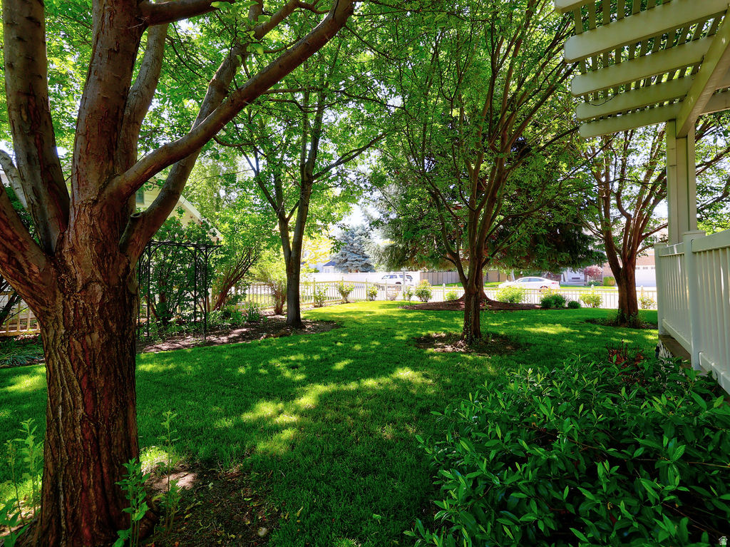 COVE WOOD - Residential