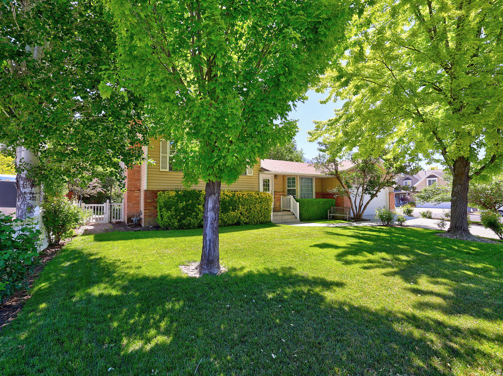 COVE WOOD - Residential