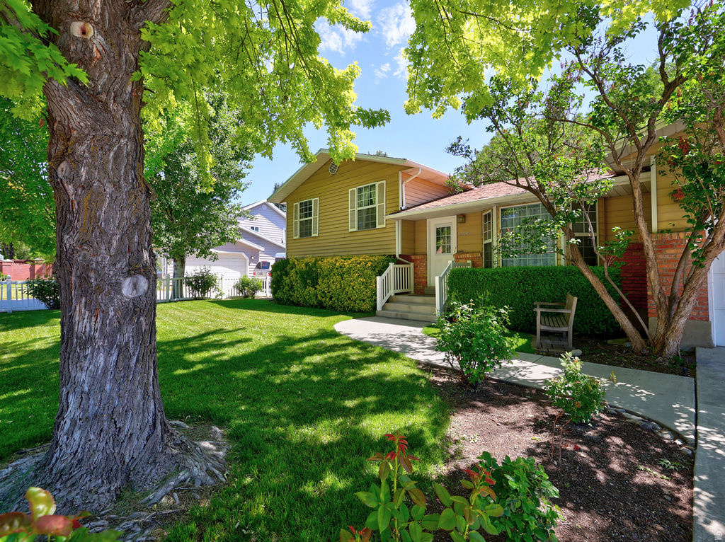 COVE WOOD - Residential
