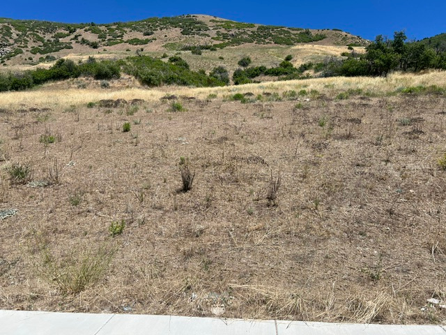 ROCK LOFT RIDGE ESTATES - Land