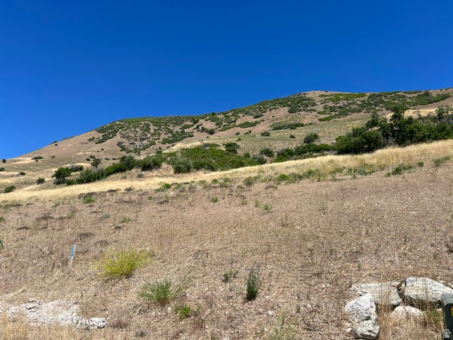 ROCK LOFT RIDGE ESTATES - Land