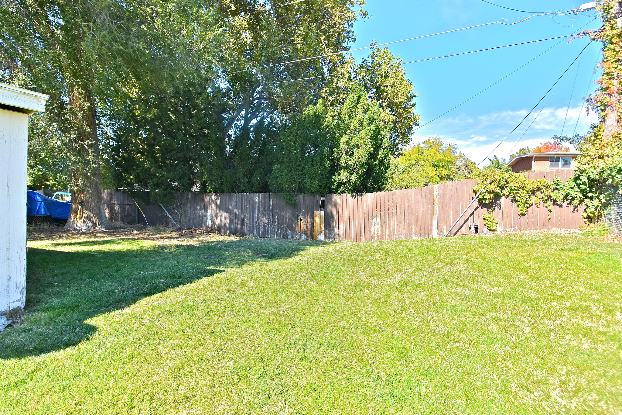 HOLLY & WHITNEY - Residential