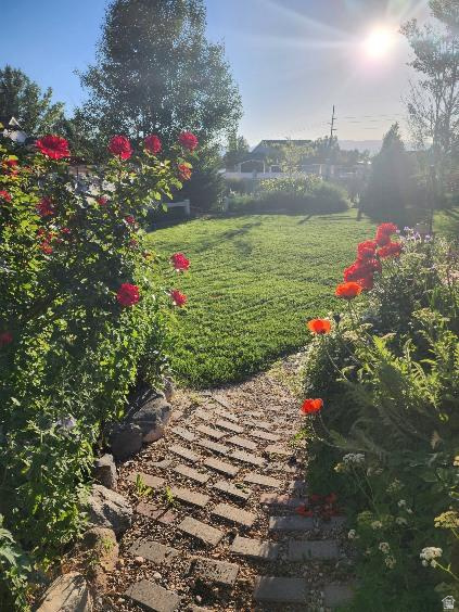 LOMA VISTA SUBDIVISION - Residential