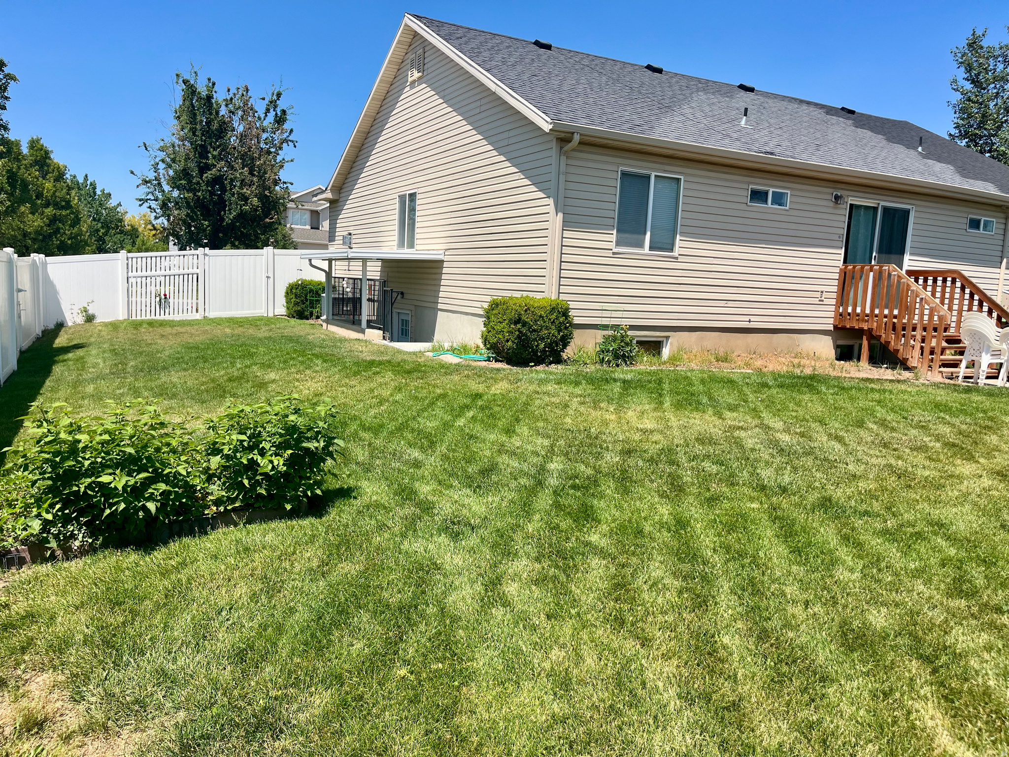 BLUE SPRUCE - Residential