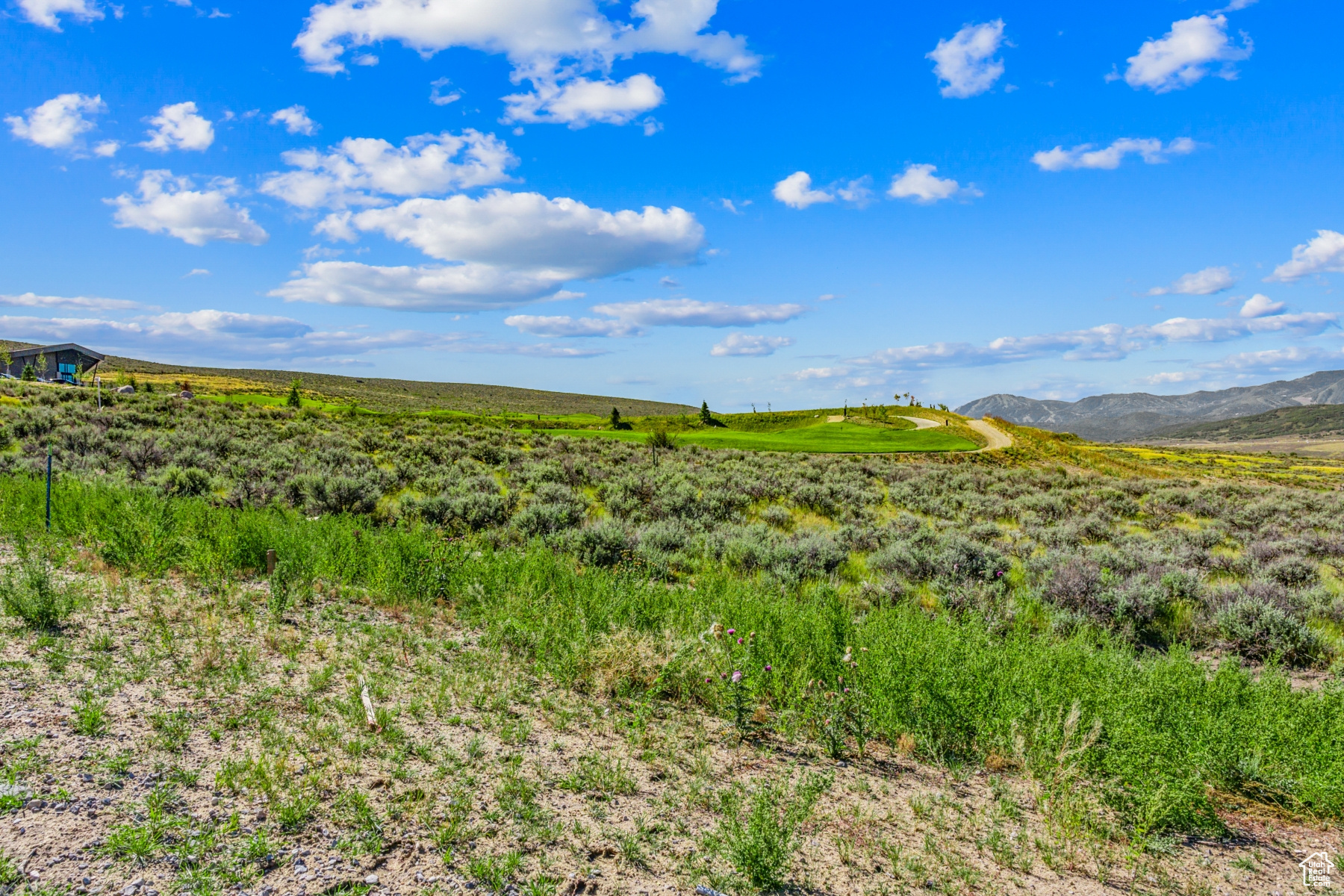 SAGE HILL ESTATES - Residential