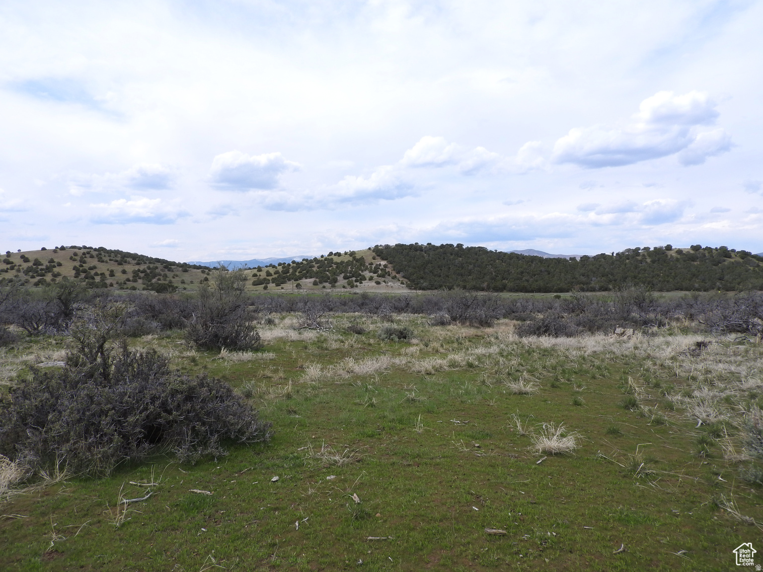 This parcel of ground is excellent for a perfect hideaway in one of the most beautiful locations! Beautiful views and excellent area to build your dream home in privacy and tranquil. Grazing for animals is allowed and permitted.  It's lcoated northeast of Mt. Pleasant. Go to 200 North 600 East Mt. Pleasant, turn north on Mountainville Highway for 1 mile, turn right heading east for .5 mile, then turn left heading north on Sharon's Drive for .4 mile and enjoy!  39.57149-111.41652.