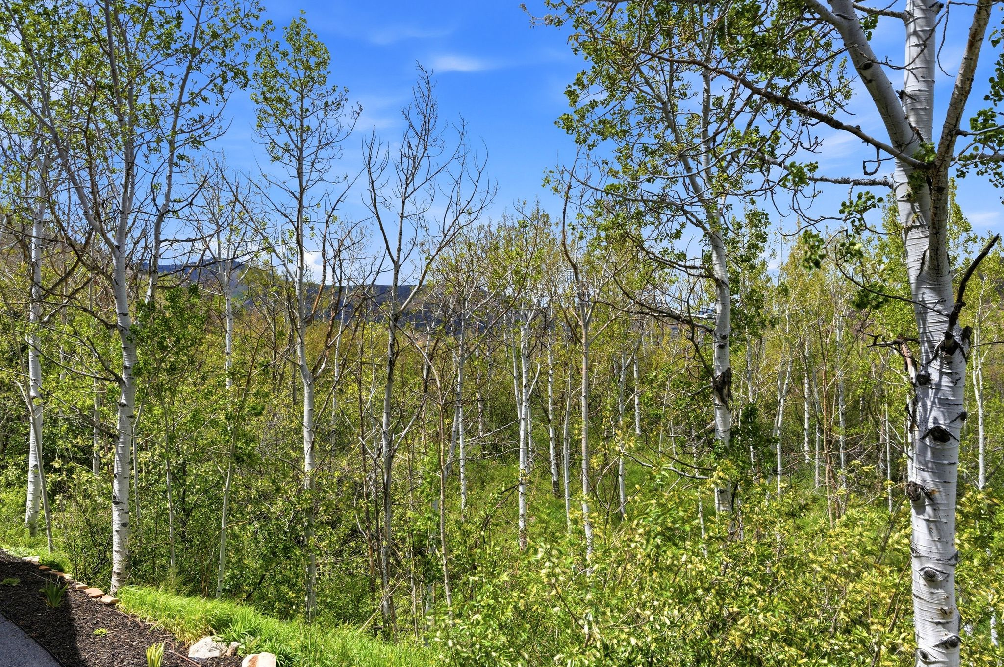 ASPEN SPRINGS RANCH - Residential
