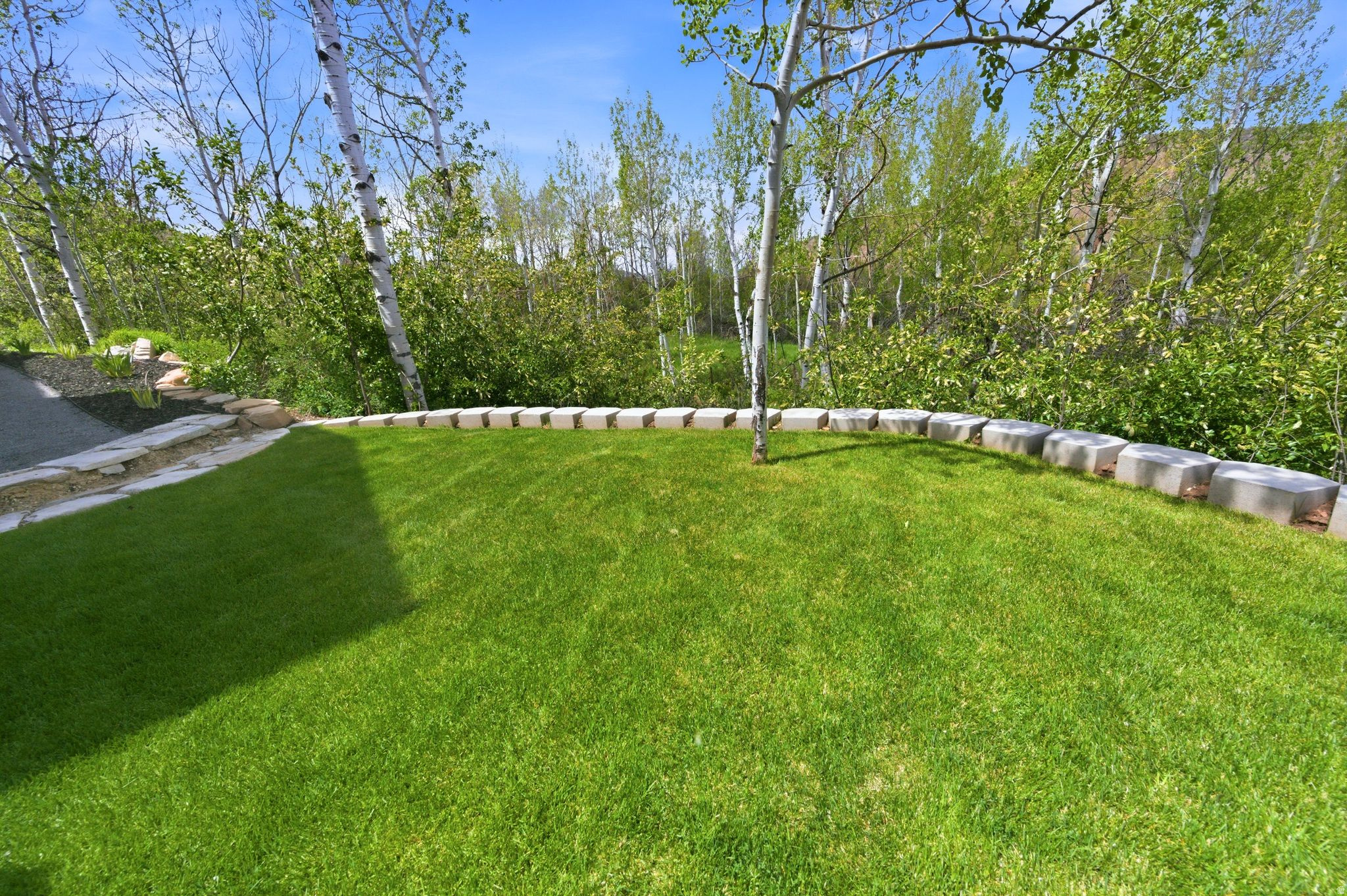 ASPEN SPRINGS RANCH - Residential