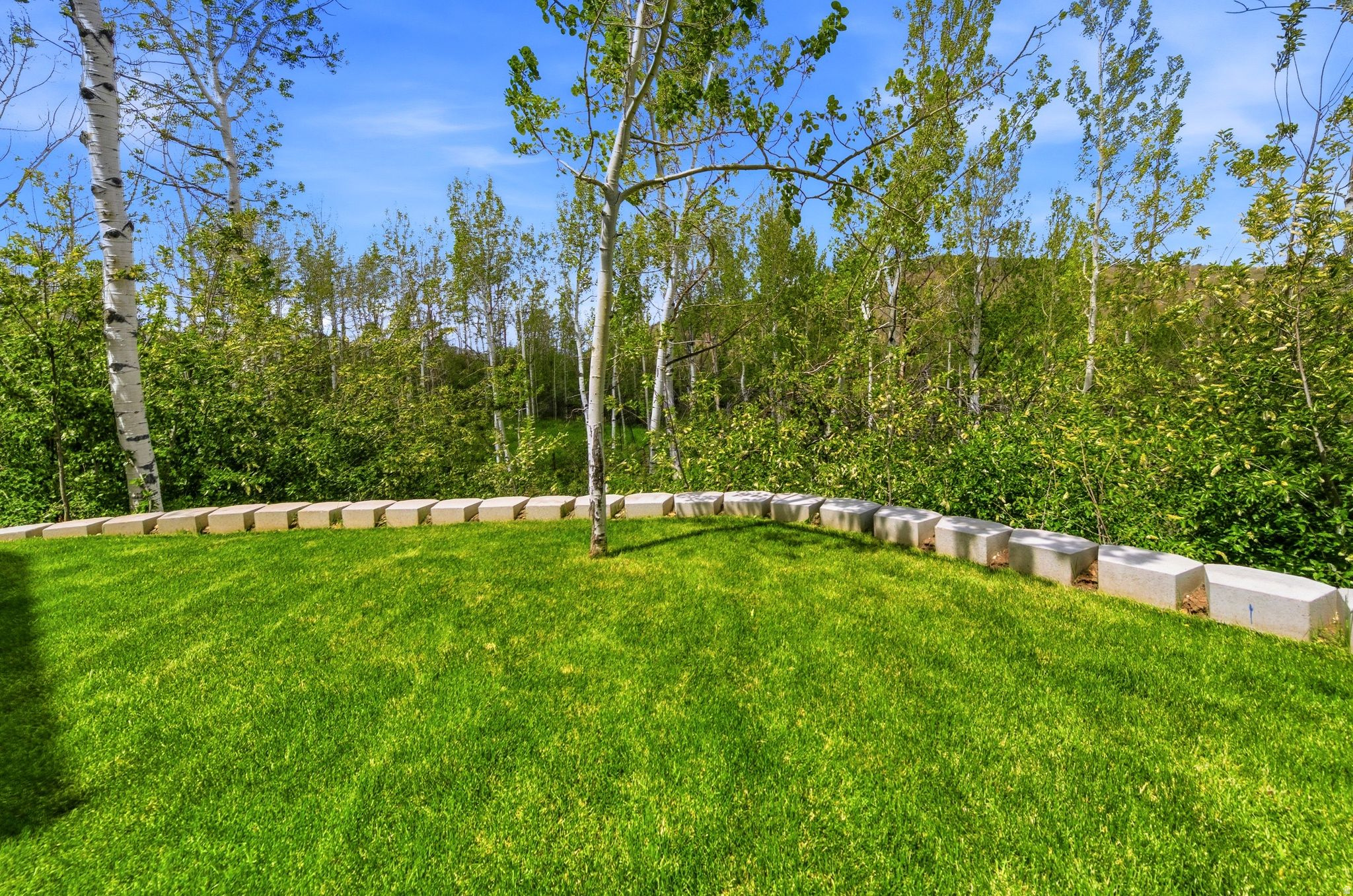 ASPEN SPRINGS RANCH - Residential