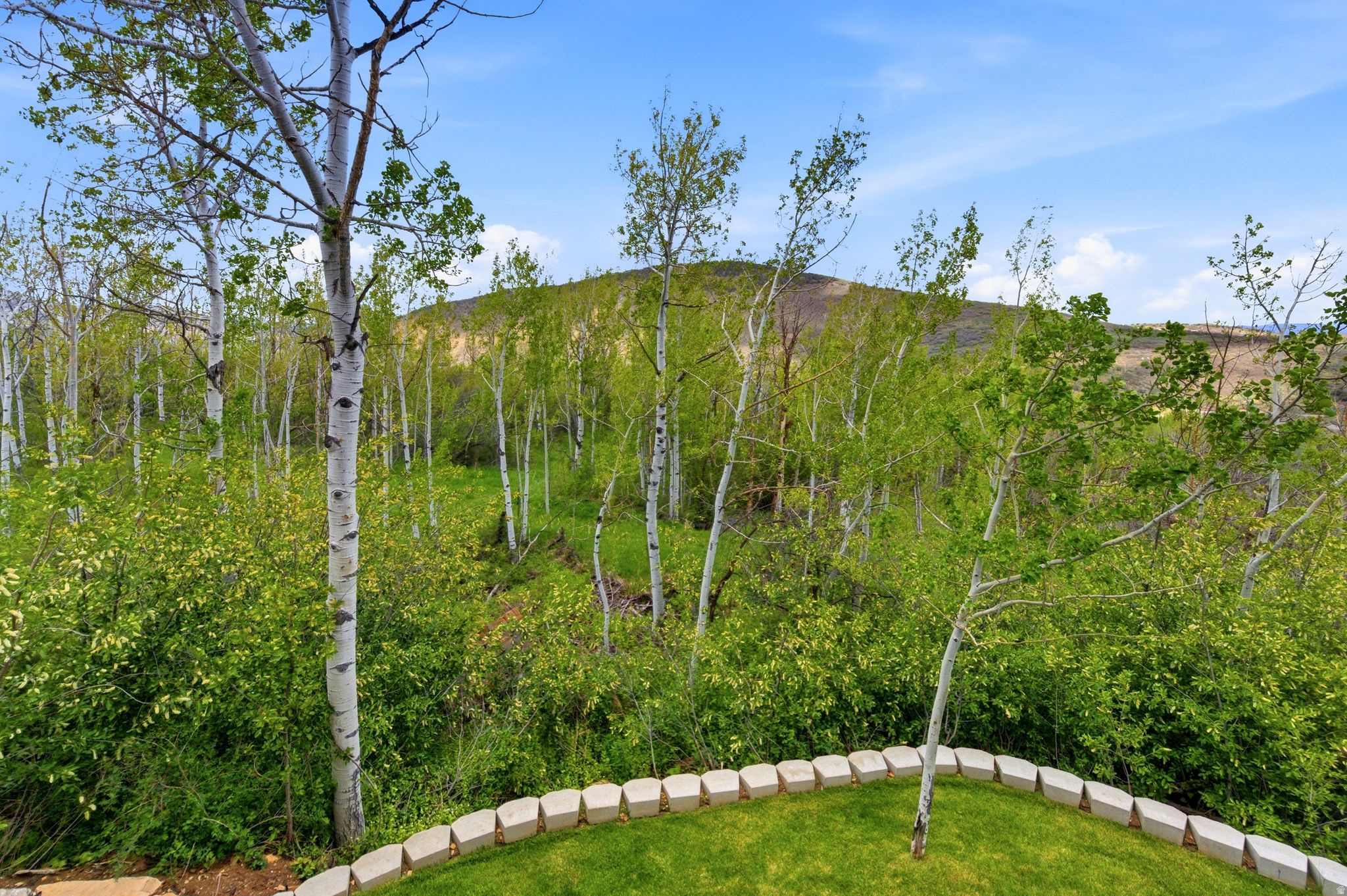 ASPEN SPRINGS RANCH - Residential