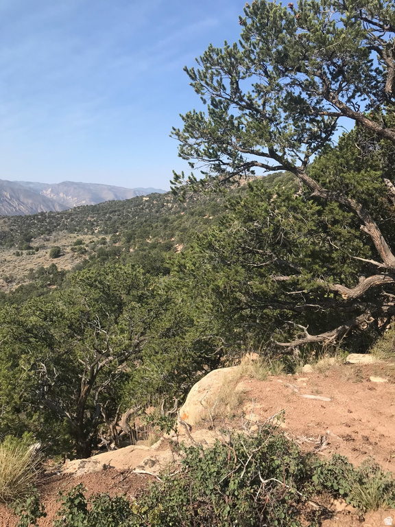 241 MOUNTAIN VIEW ESTATES - Land