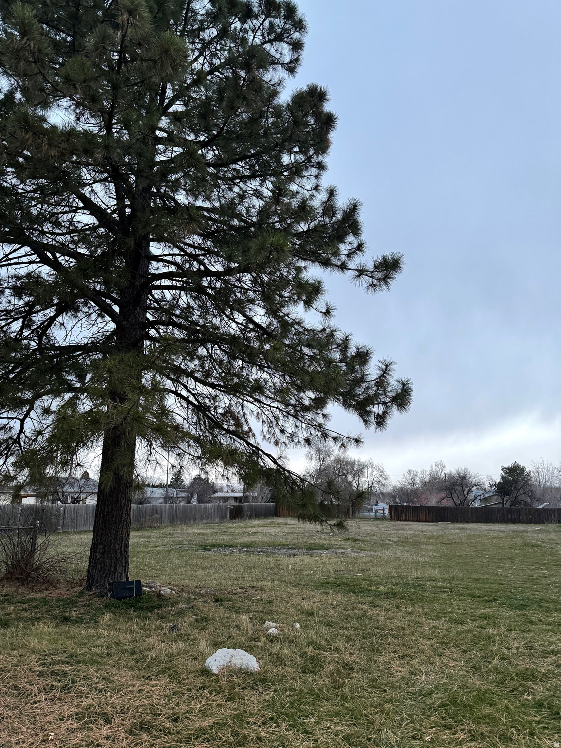 TWIN PINES - Land