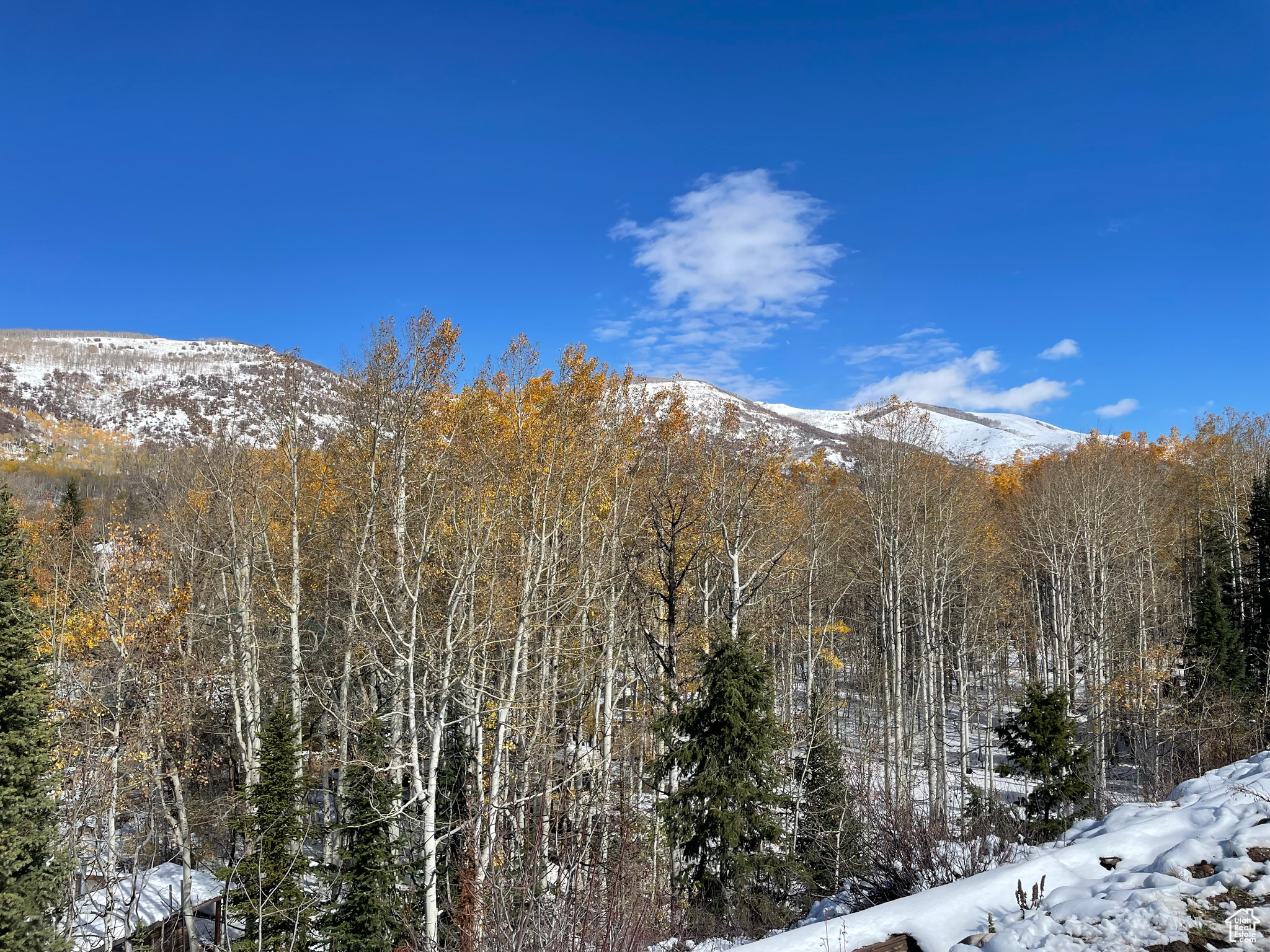 BEAVER SPRINGS - Residential