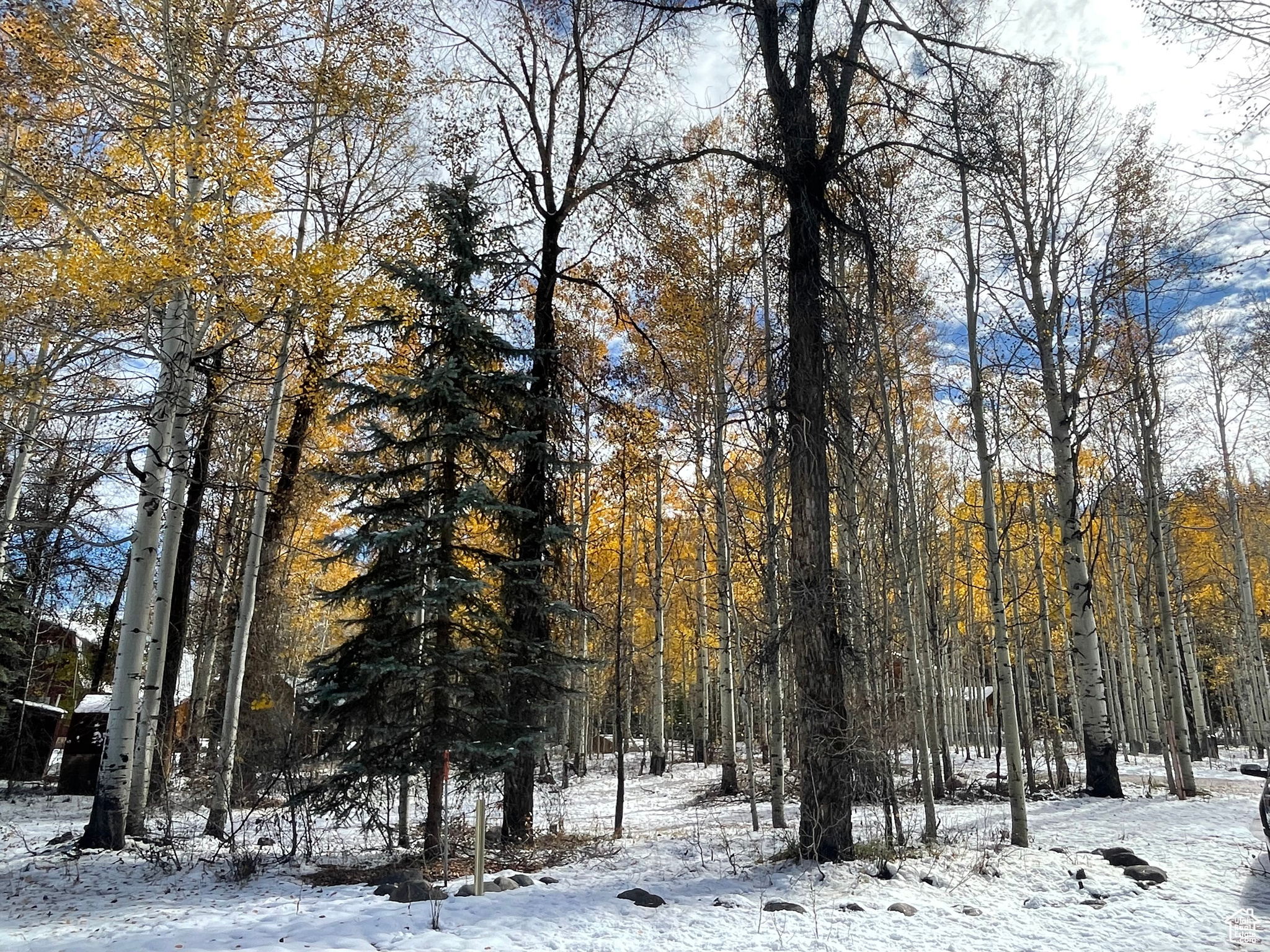 BEAVER SPRINGS - Residential