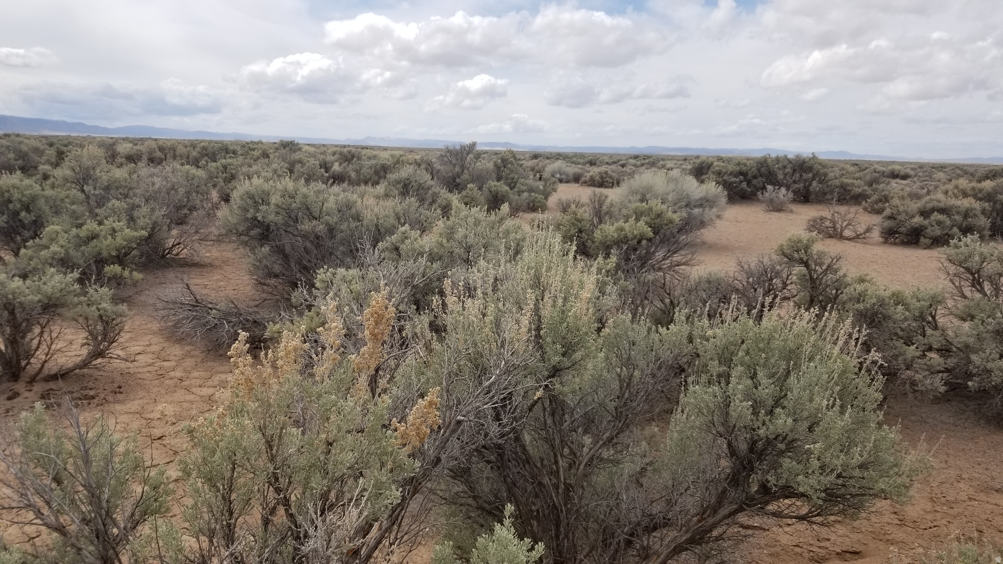 GARDEN VALLEY RANCH - Land