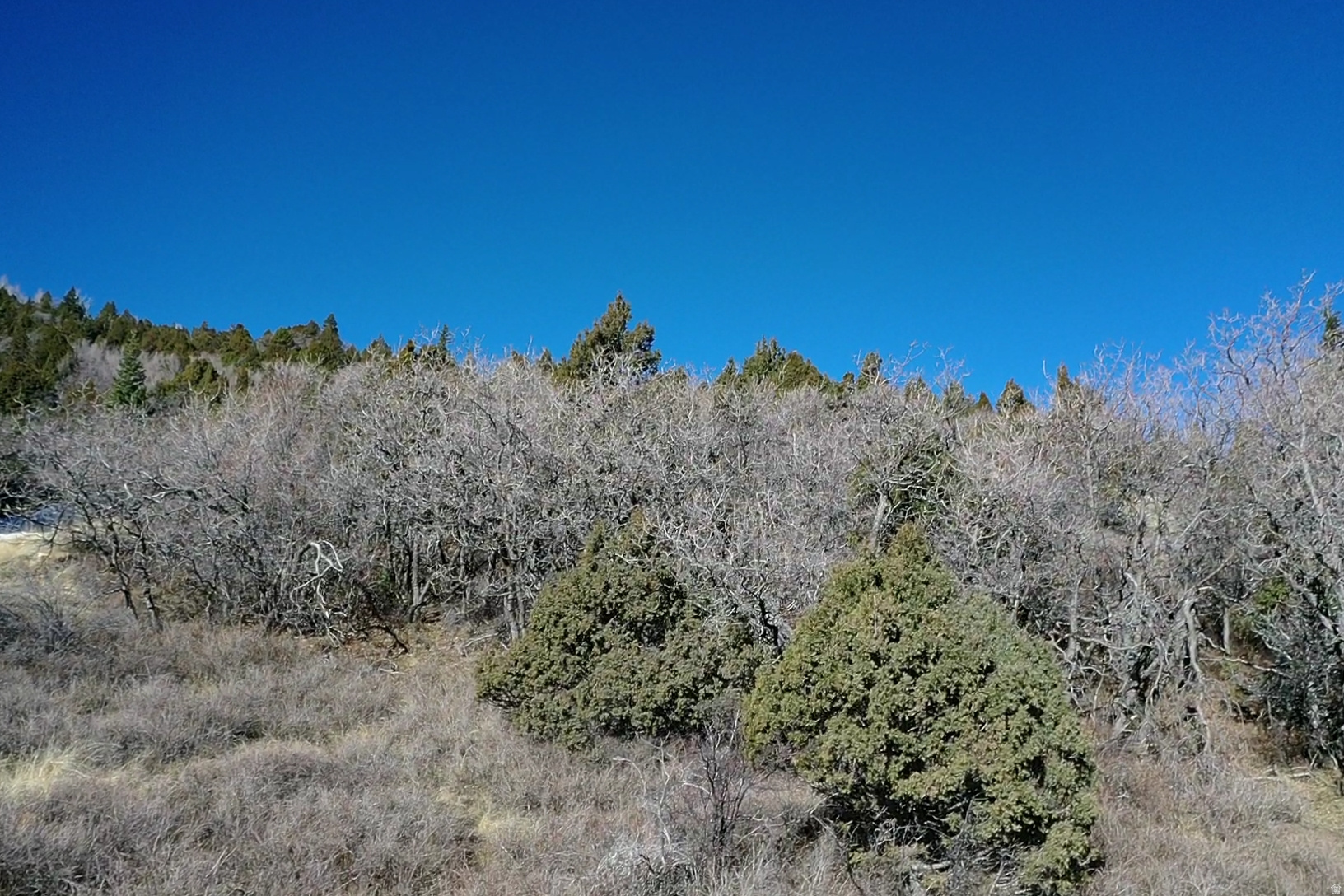 3200 SUBDIVISION - Land