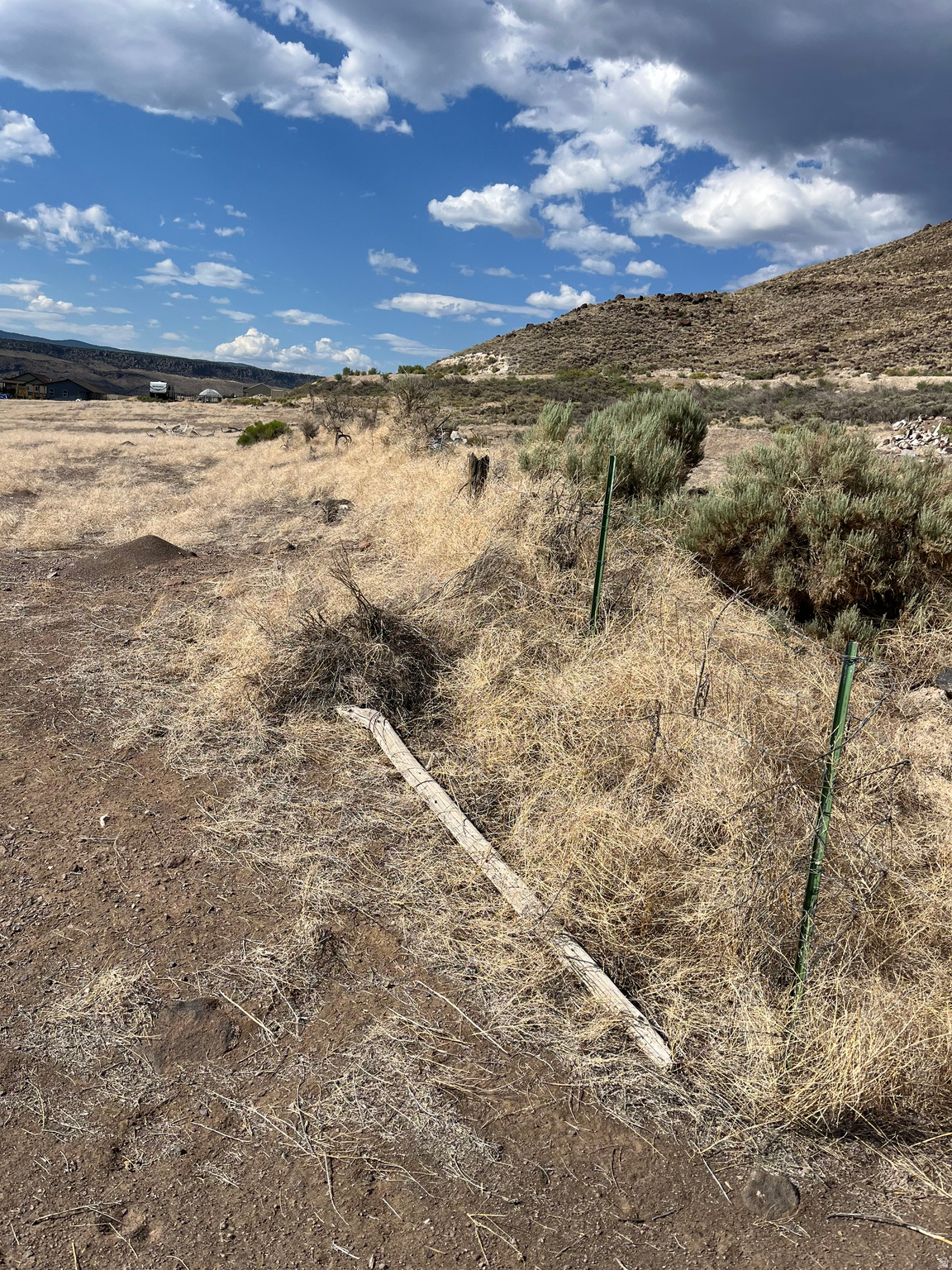 HI-LINE VIEWS - Land