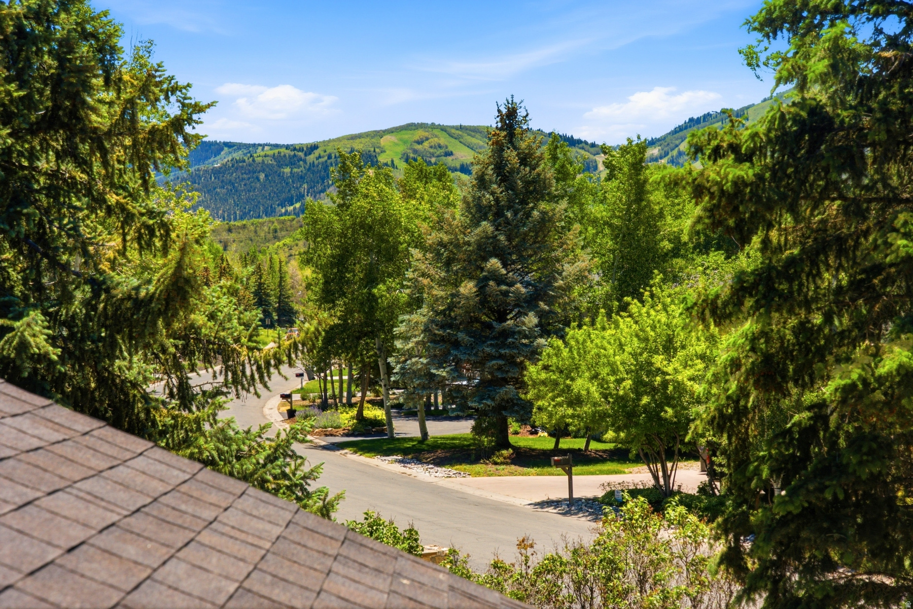 PARK MEADOWS SUBDIVISION - Residential