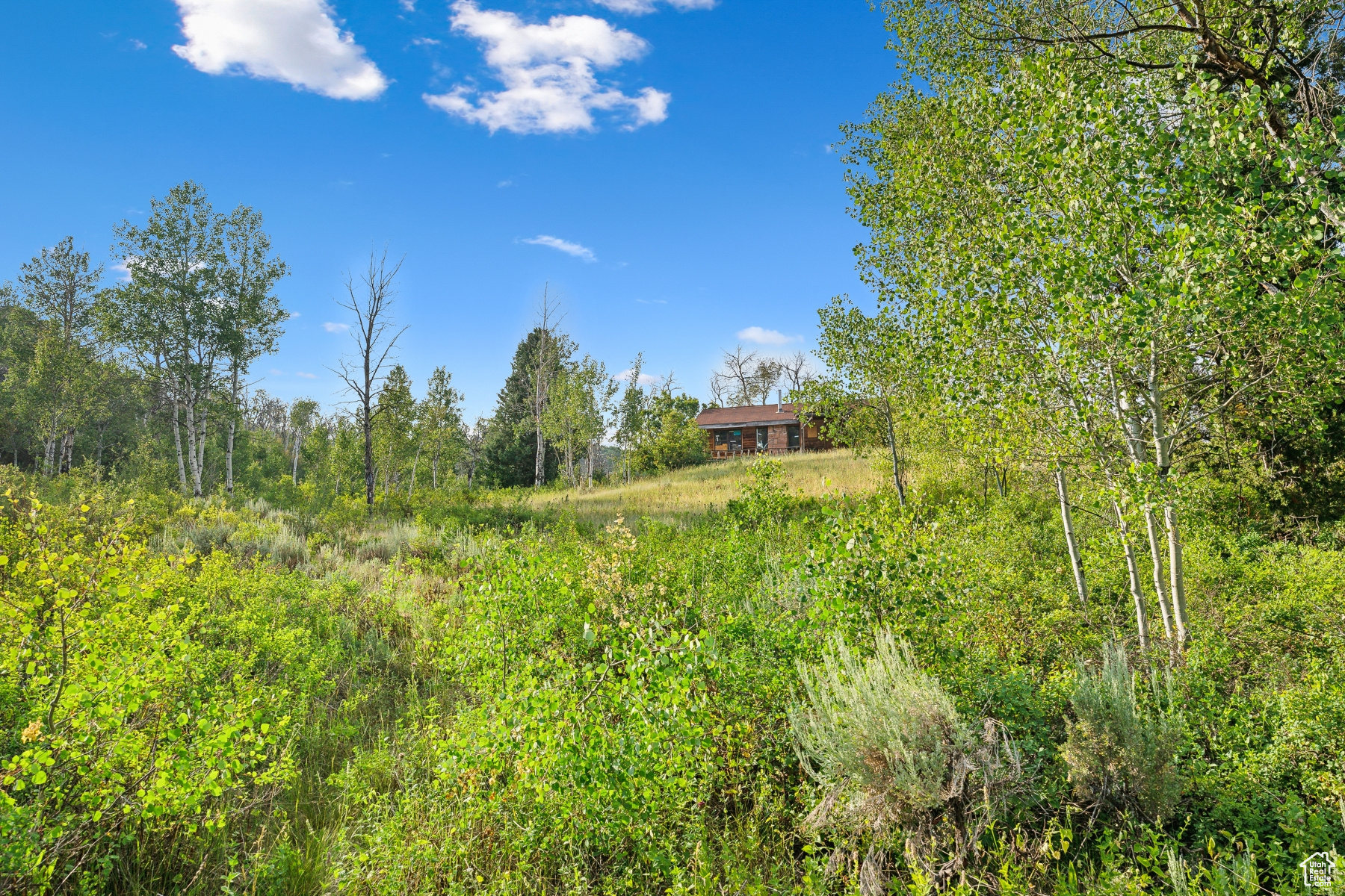 WOODLAND CREST - Residential