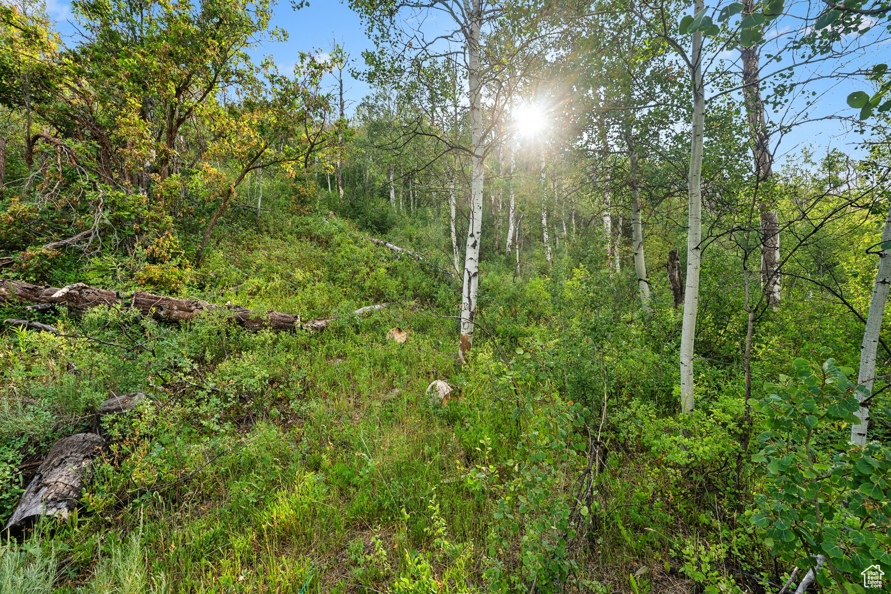 WOODLAND CREST - Residential