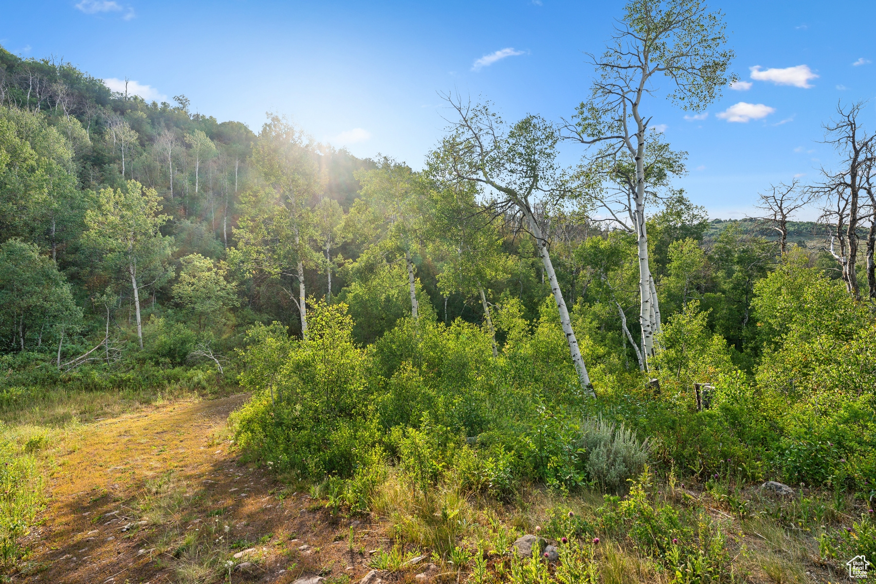 WOODLAND CREST - Residential