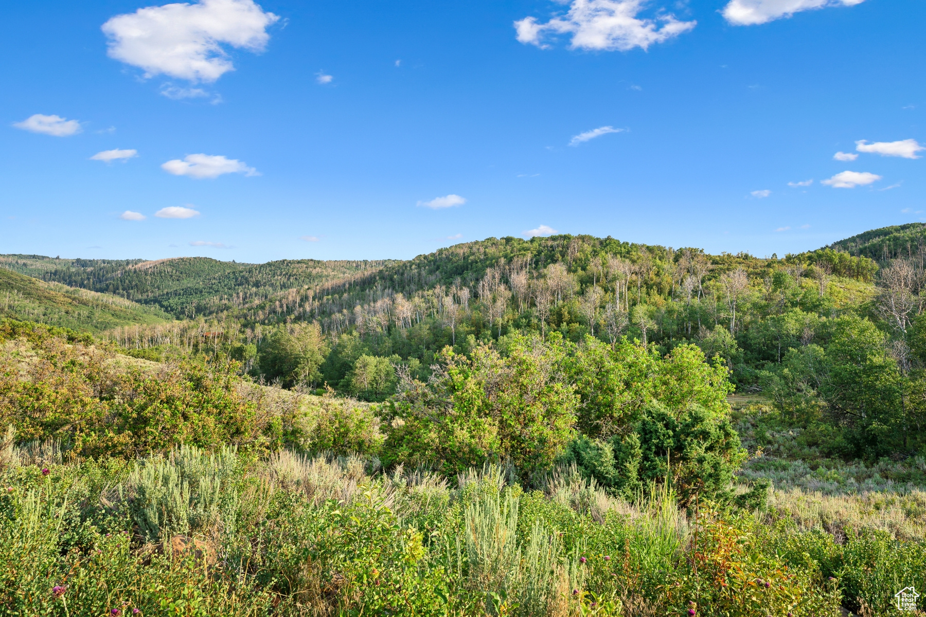 WOODLAND CREST - Residential