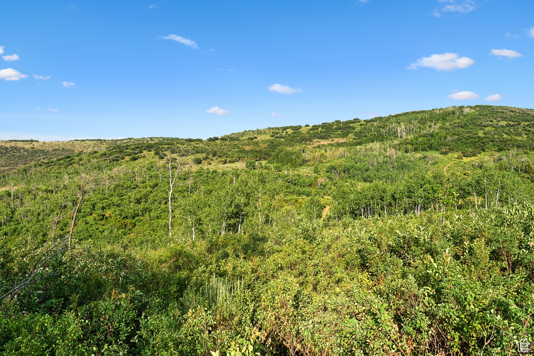 WOODLAND CREST - Residential